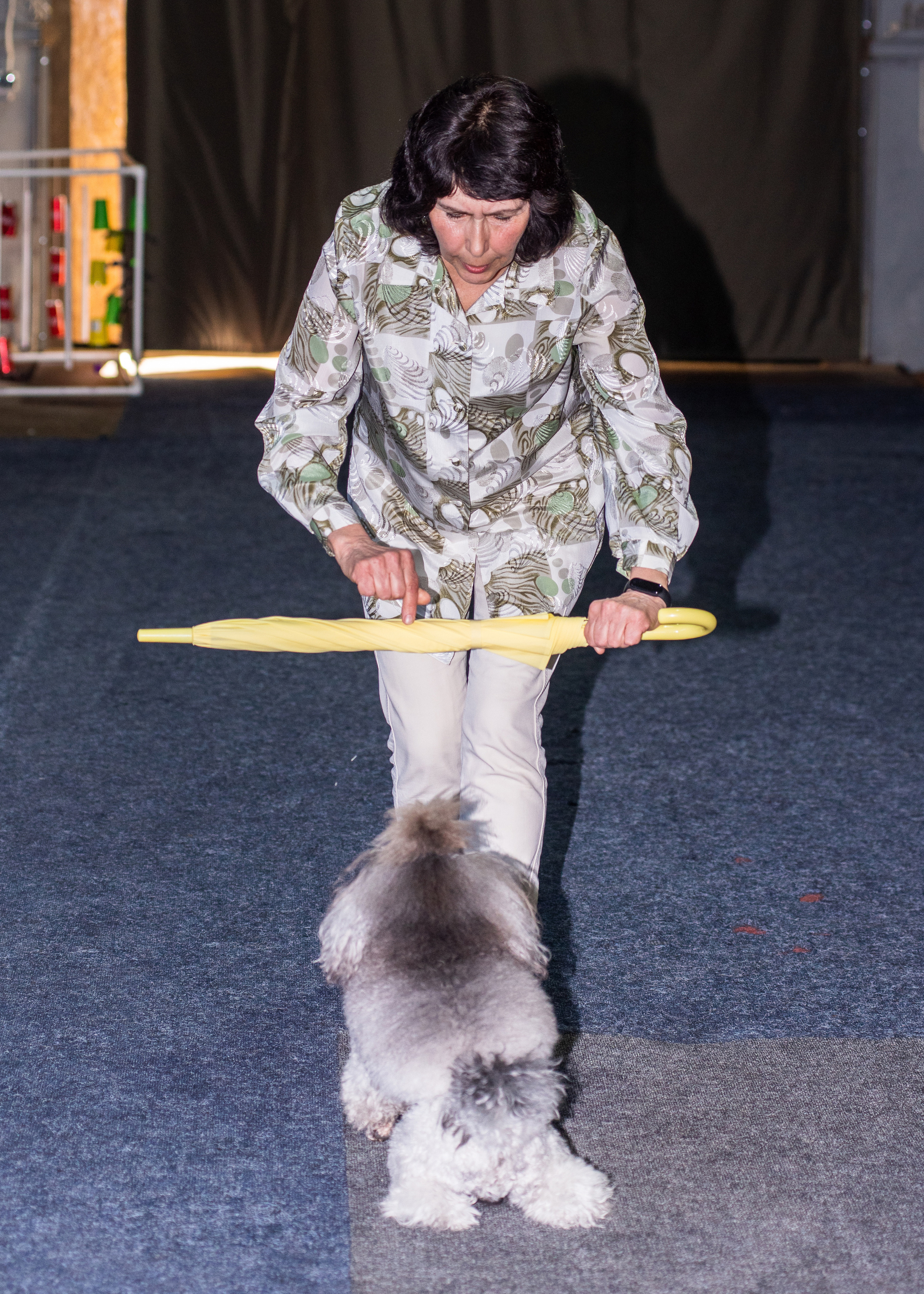 Танцы с собаками!. Дог-фотограф в Тюмени Александра Королева