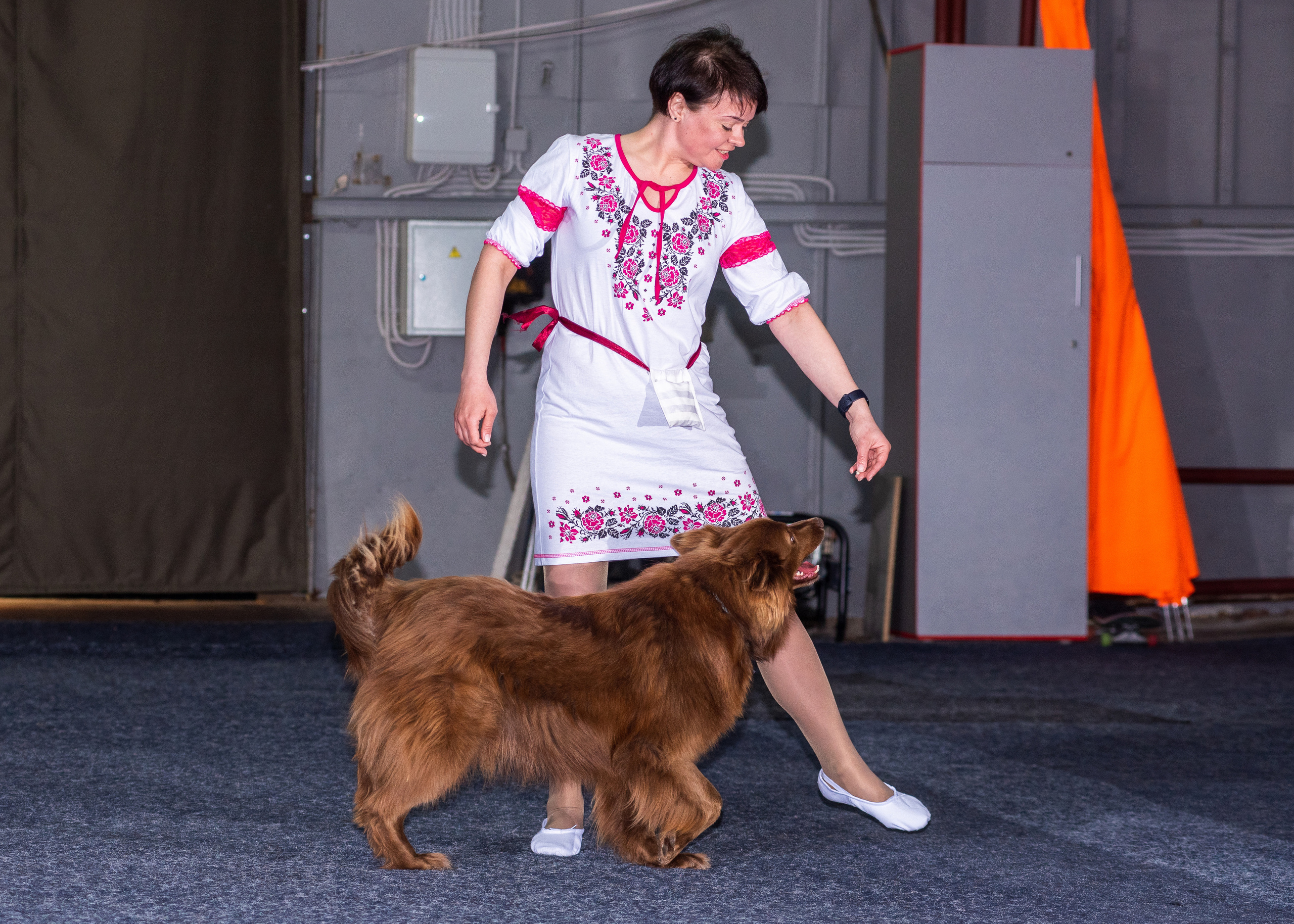 Танцы с собаками!. Дог-фотограф в Тюмени Александра Королева