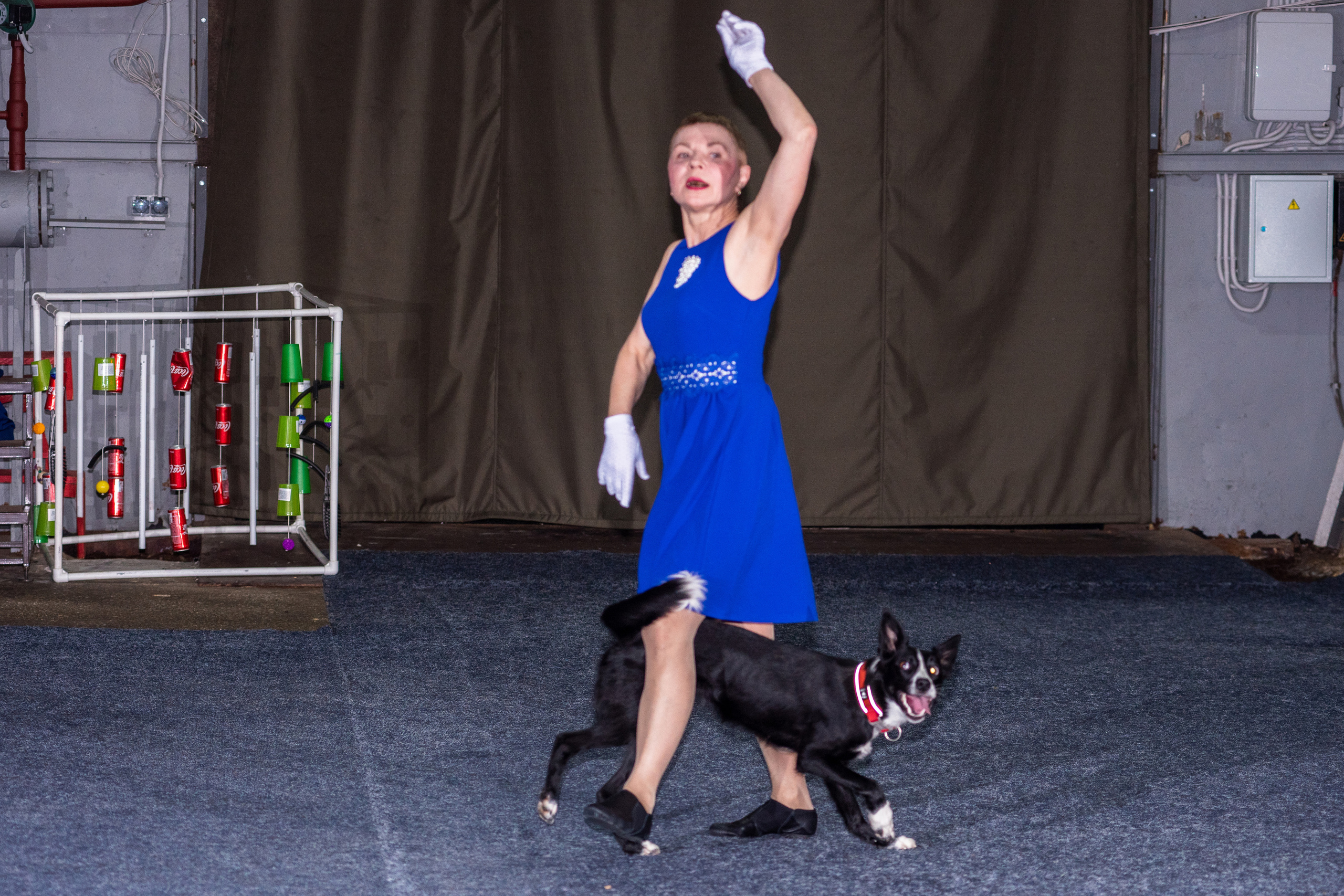 Танцы с собаками!. Дог-фотограф в Тюмени Александра Королева