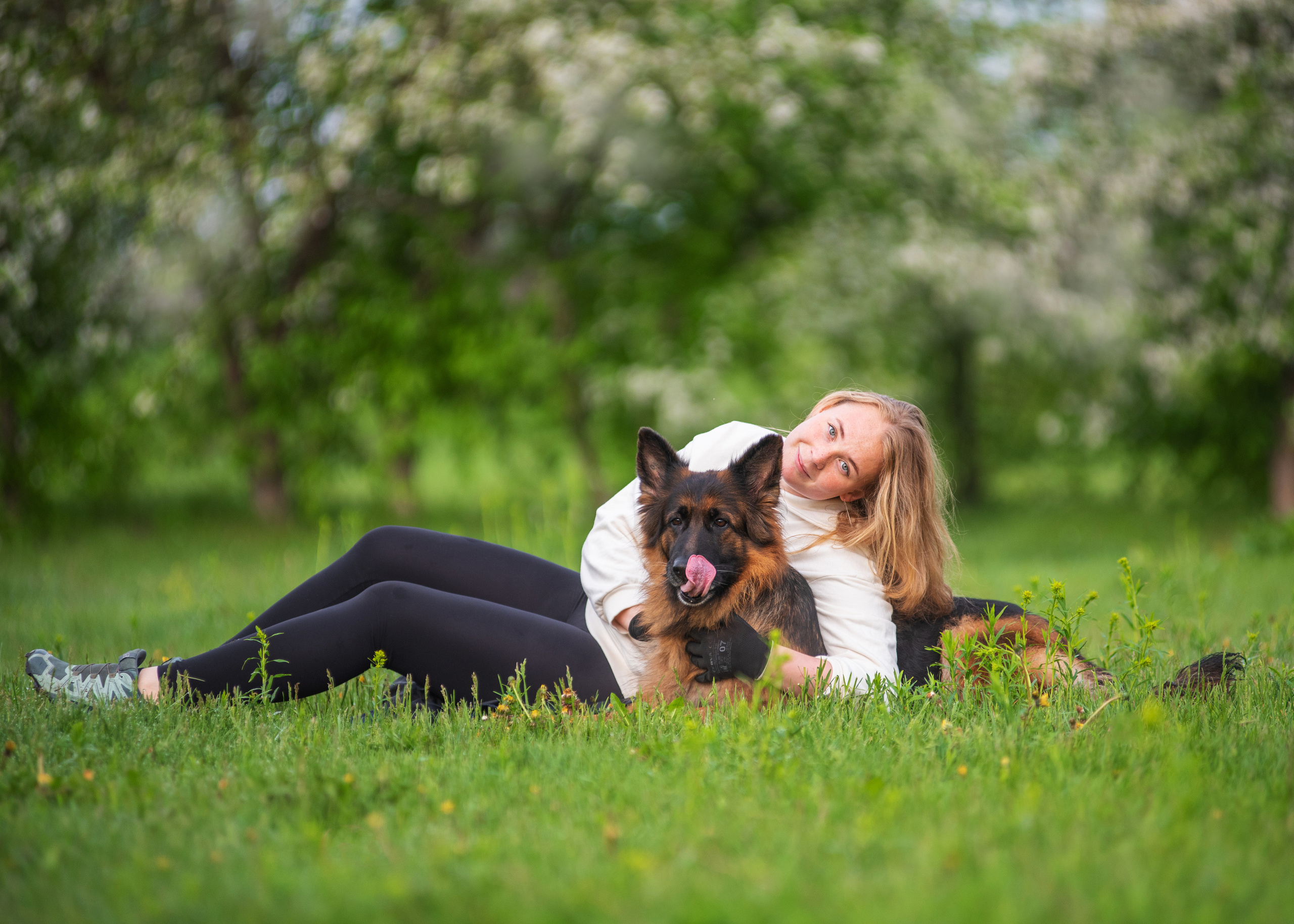 Овчарка в яблонях. Дог-фотограф в Тюмени Александра Королева