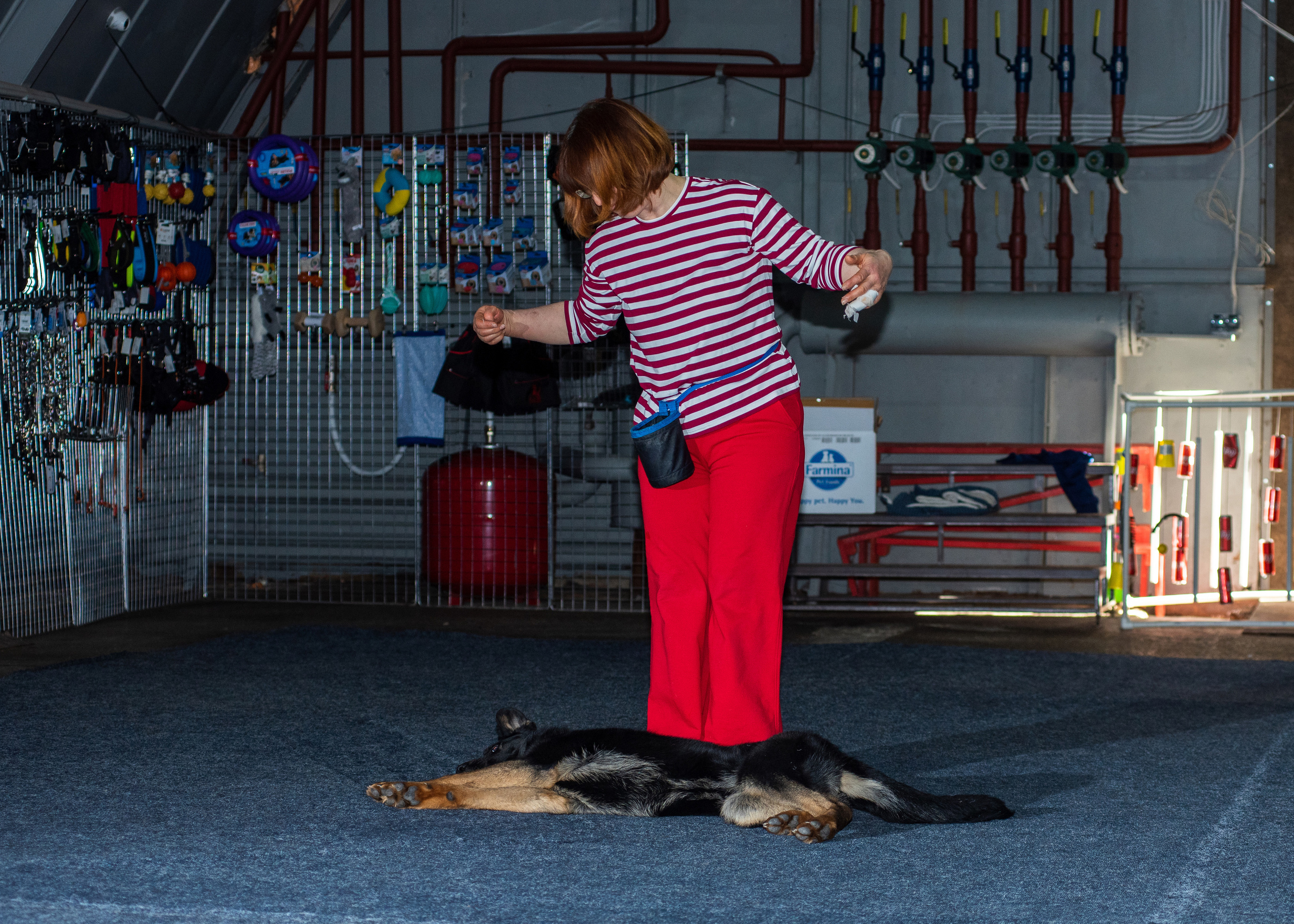 Танцы с собаками!. Дог-фотограф в Тюмени Александра Королева