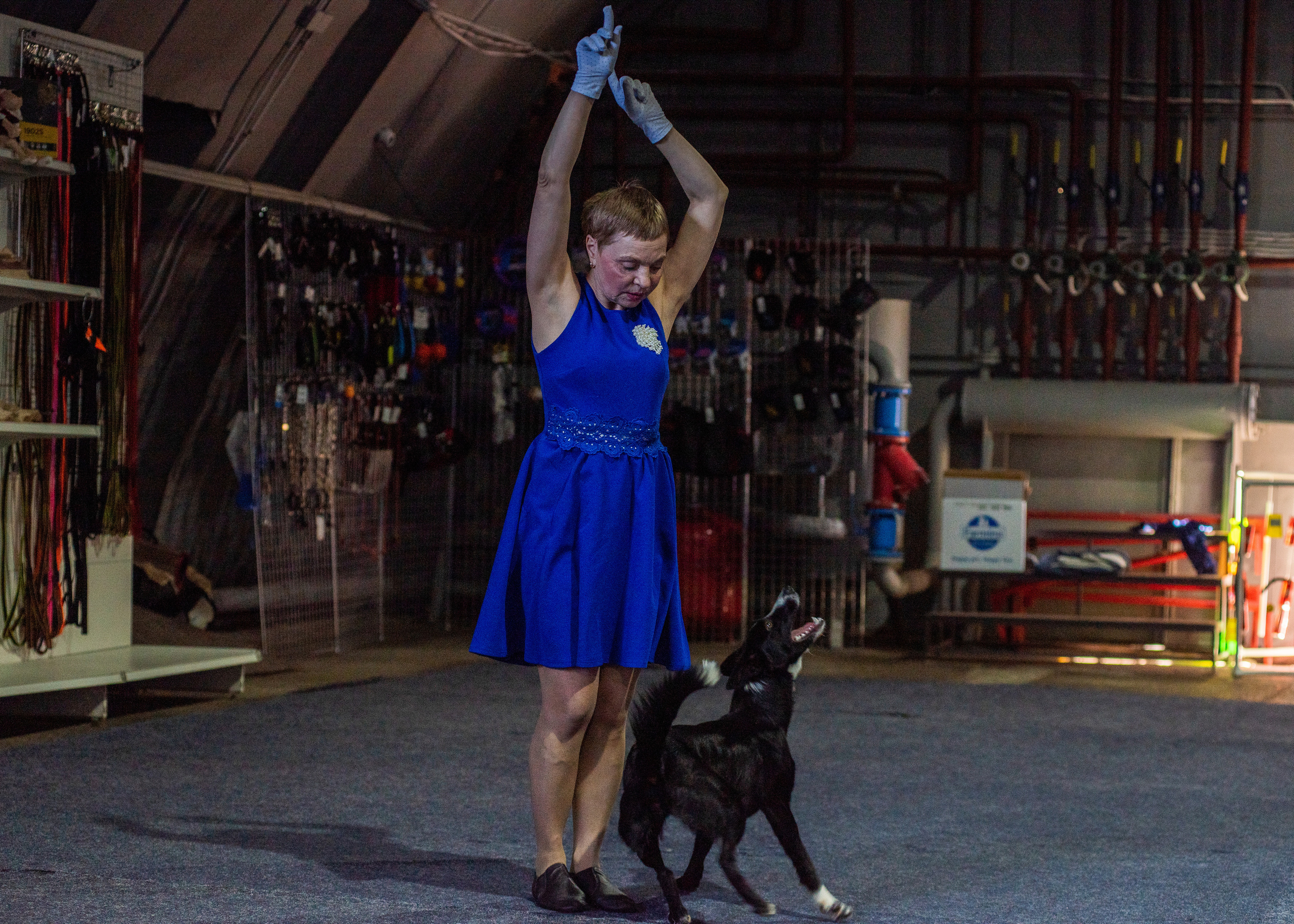 Танцы с собаками!. Дог-фотограф в Тюмени Александра Королева