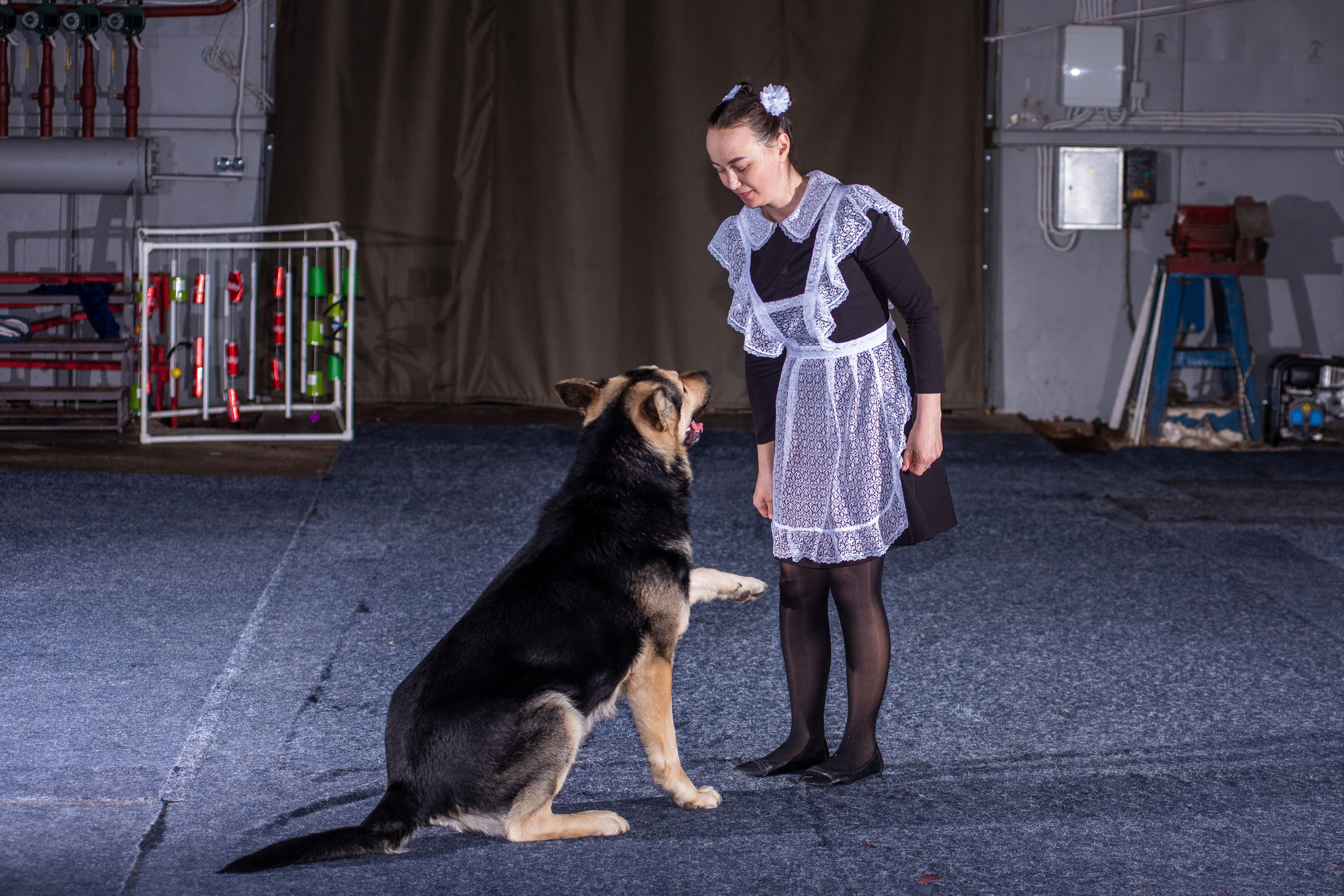 Танцы с собаками!. Дог-фотограф в Тюмени Александра Королева