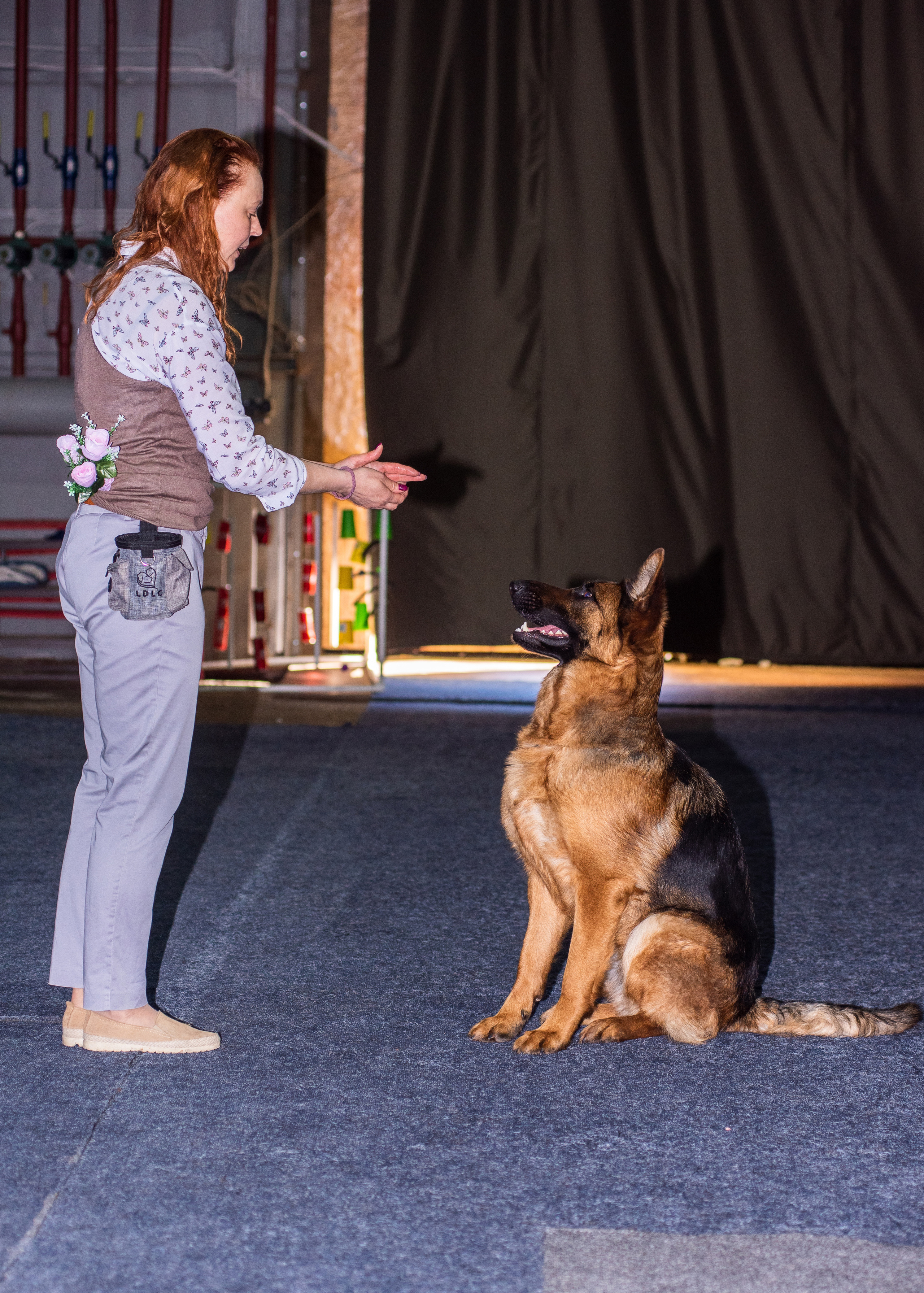 Танцы с собаками!. Дог-фотограф в Тюмени Александра Королева