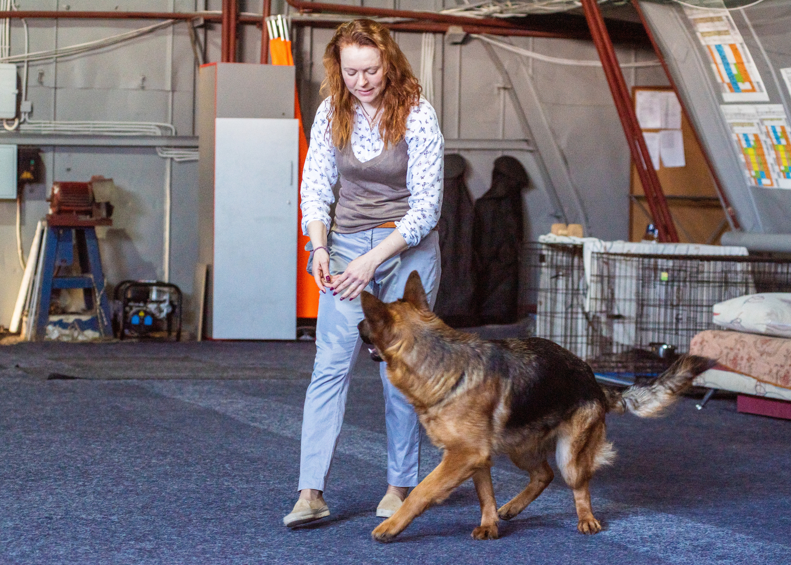 Танцы с собаками!. Дог-фотограф в Тюмени Александра Королева