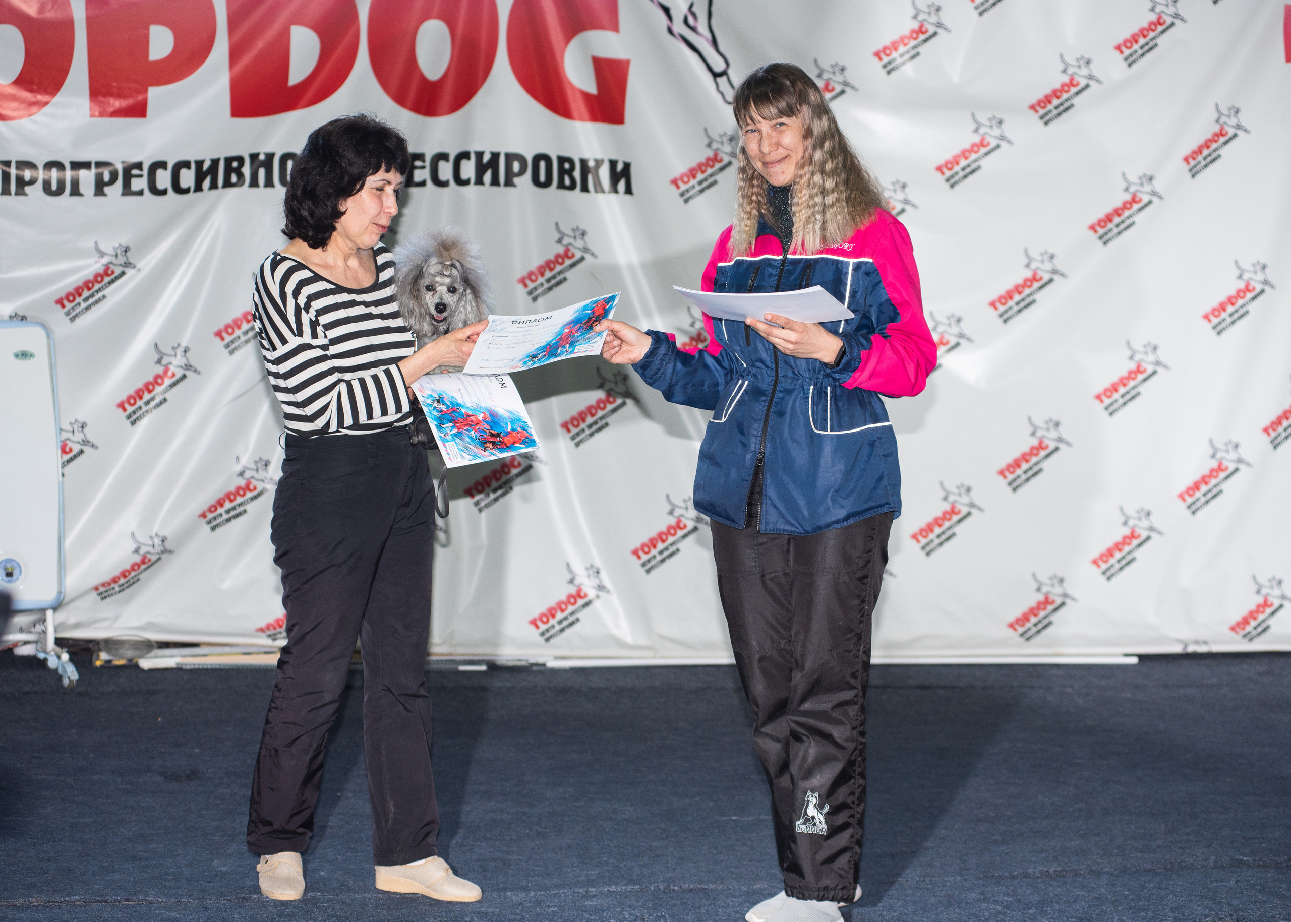 Танцы с собаками!. Дог-фотограф в Тюмени Александра Королева