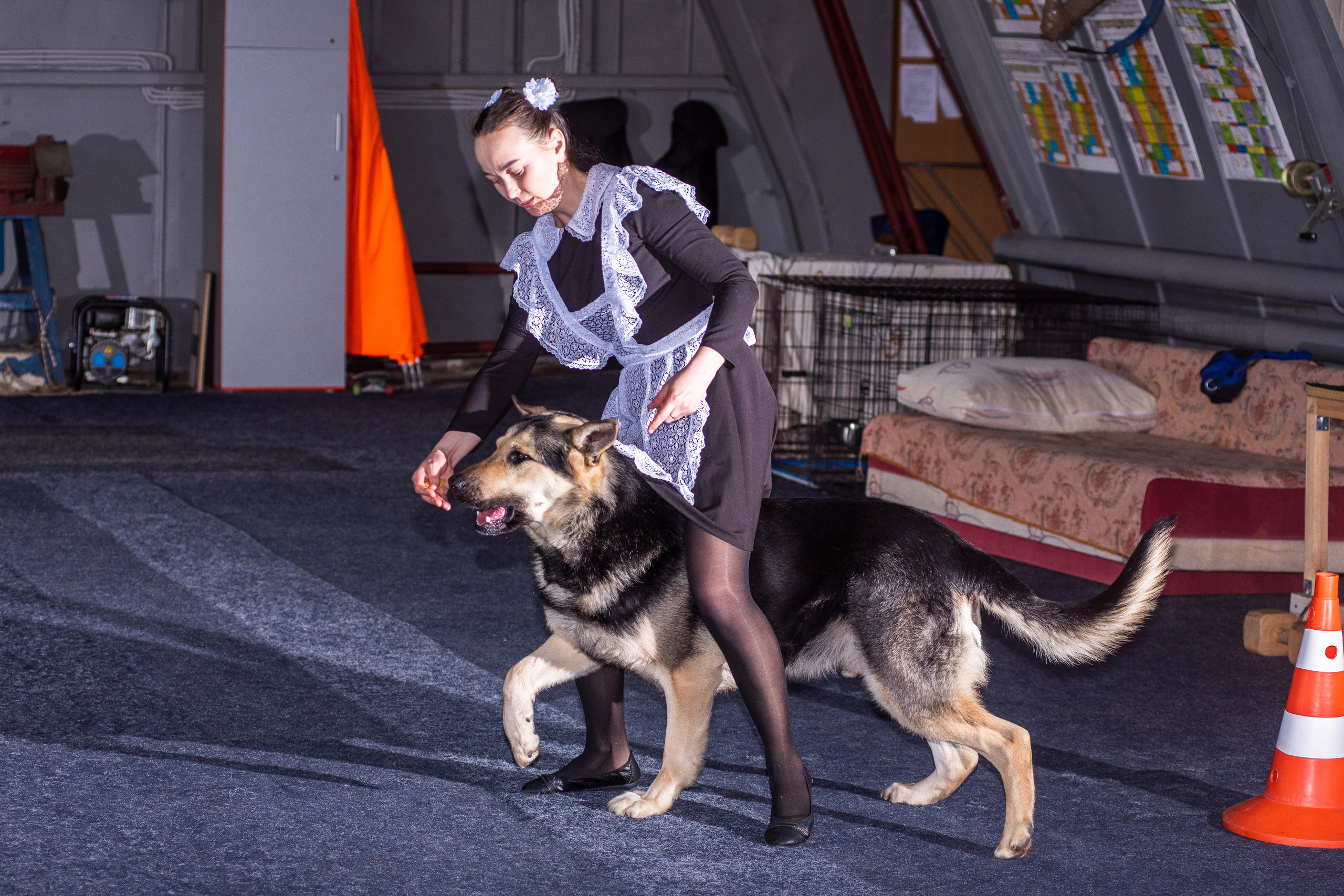 Танцы с собаками!. Дог-фотограф в Тюмени Александра Королева