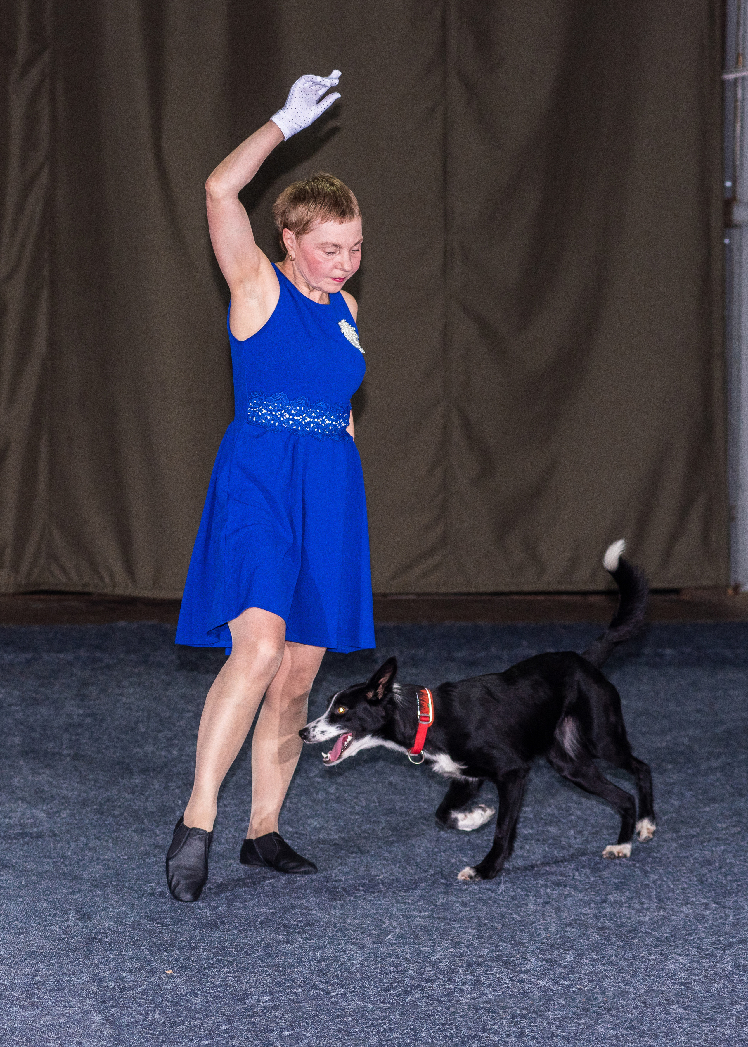 Танцы с собаками!. Дог-фотограф в Тюмени Александра Королева