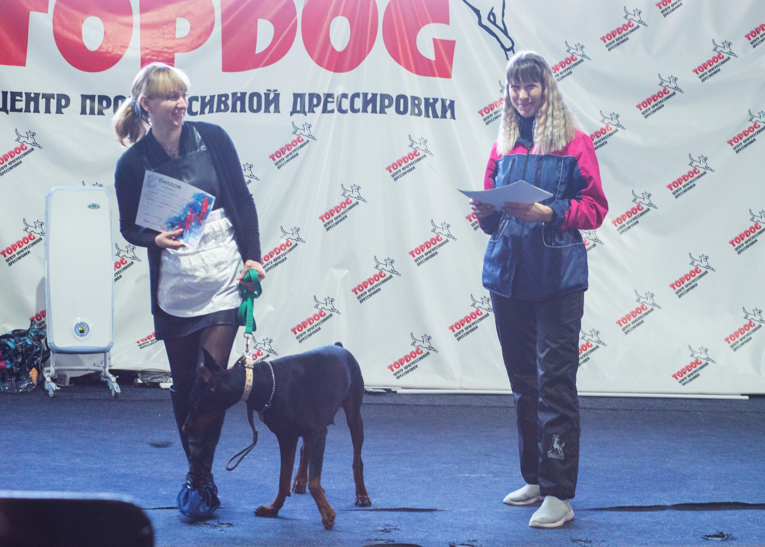 Танцы с собаками!. Дог-фотограф в Тюмени Александра Королева