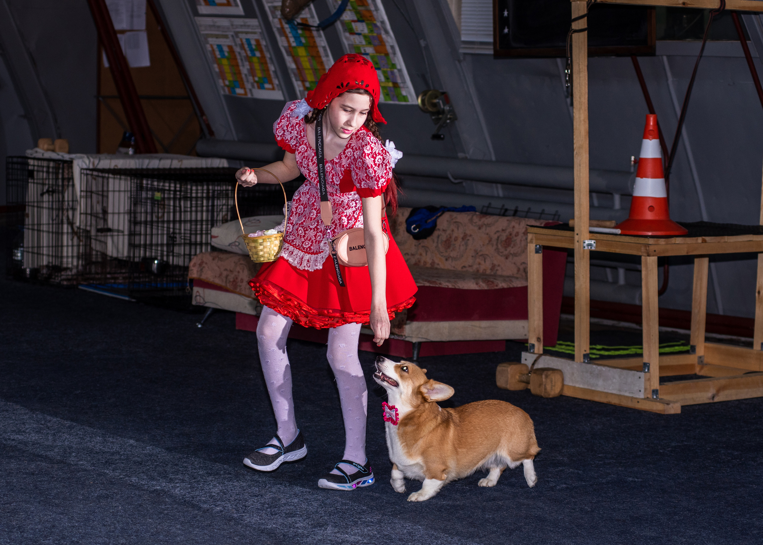 Танцы с собаками!. Дог-фотограф в Тюмени Александра Королева