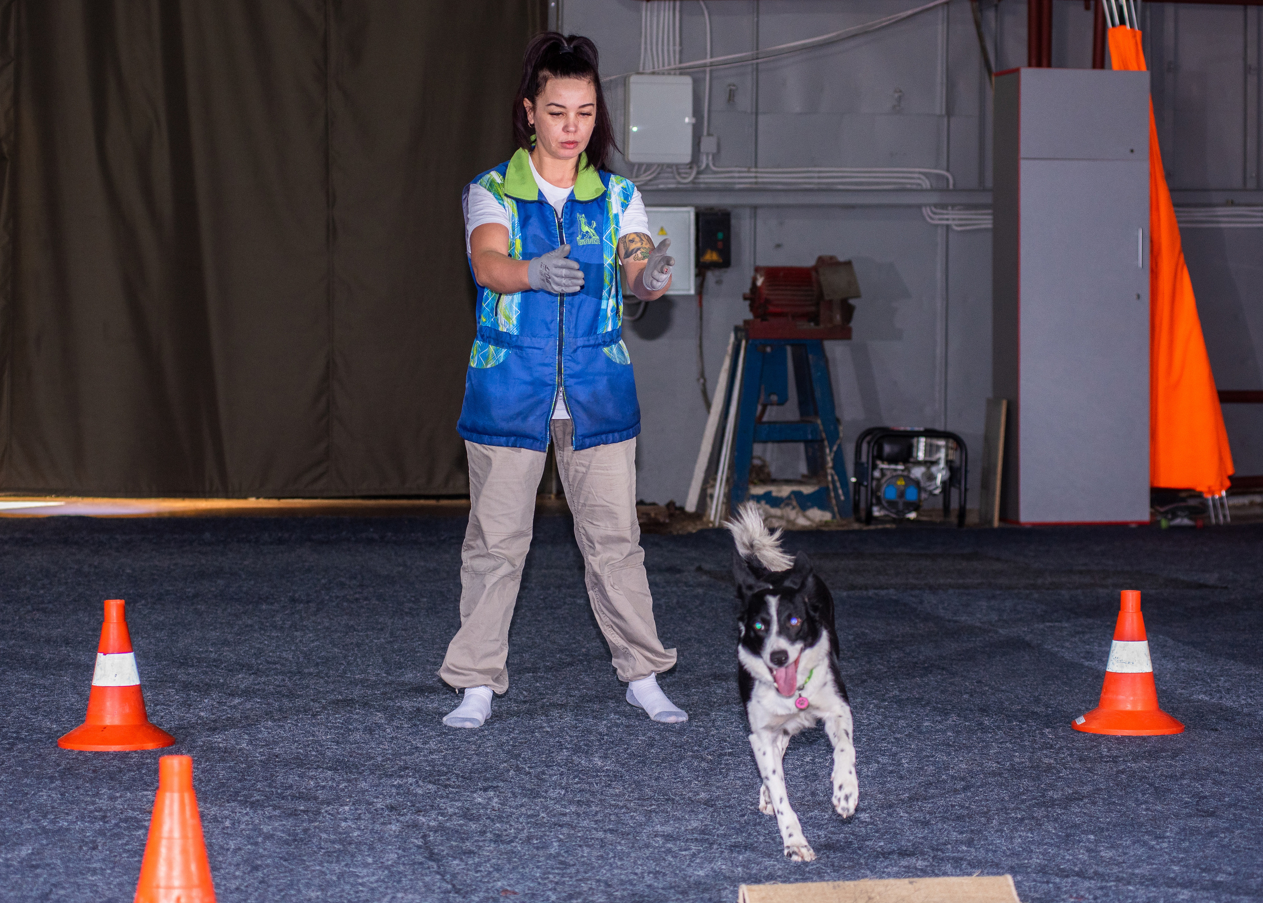 Танцы с собаками!. Дог-фотограф в Тюмени Александра Королева