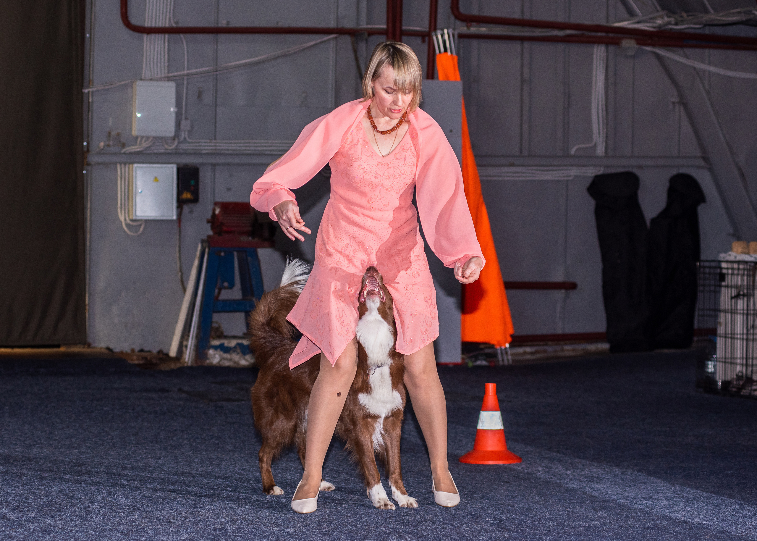 Танцы с собаками!. Дог-фотограф в Тюмени Александра Королева