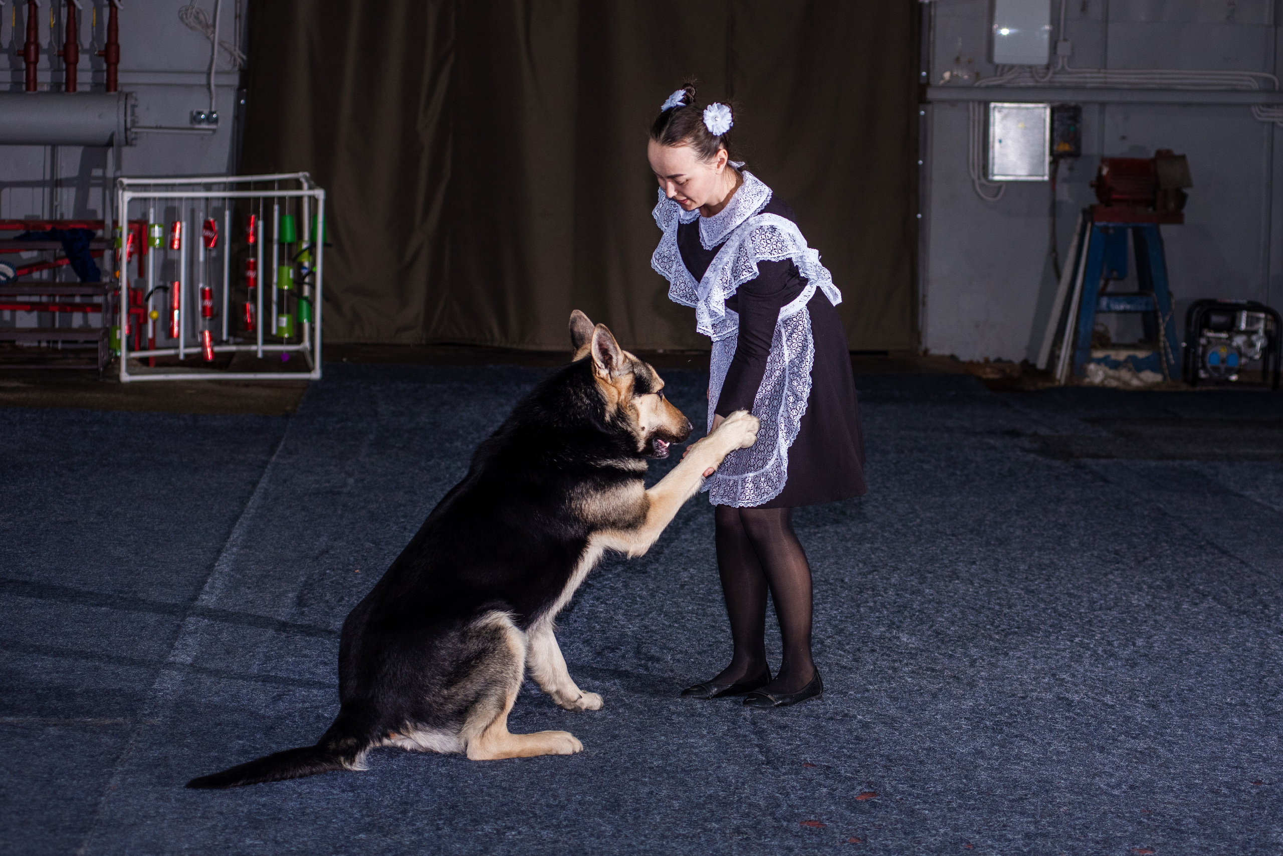 Танцы с собаками!. Дог-фотограф в Тюмени Александра Королева