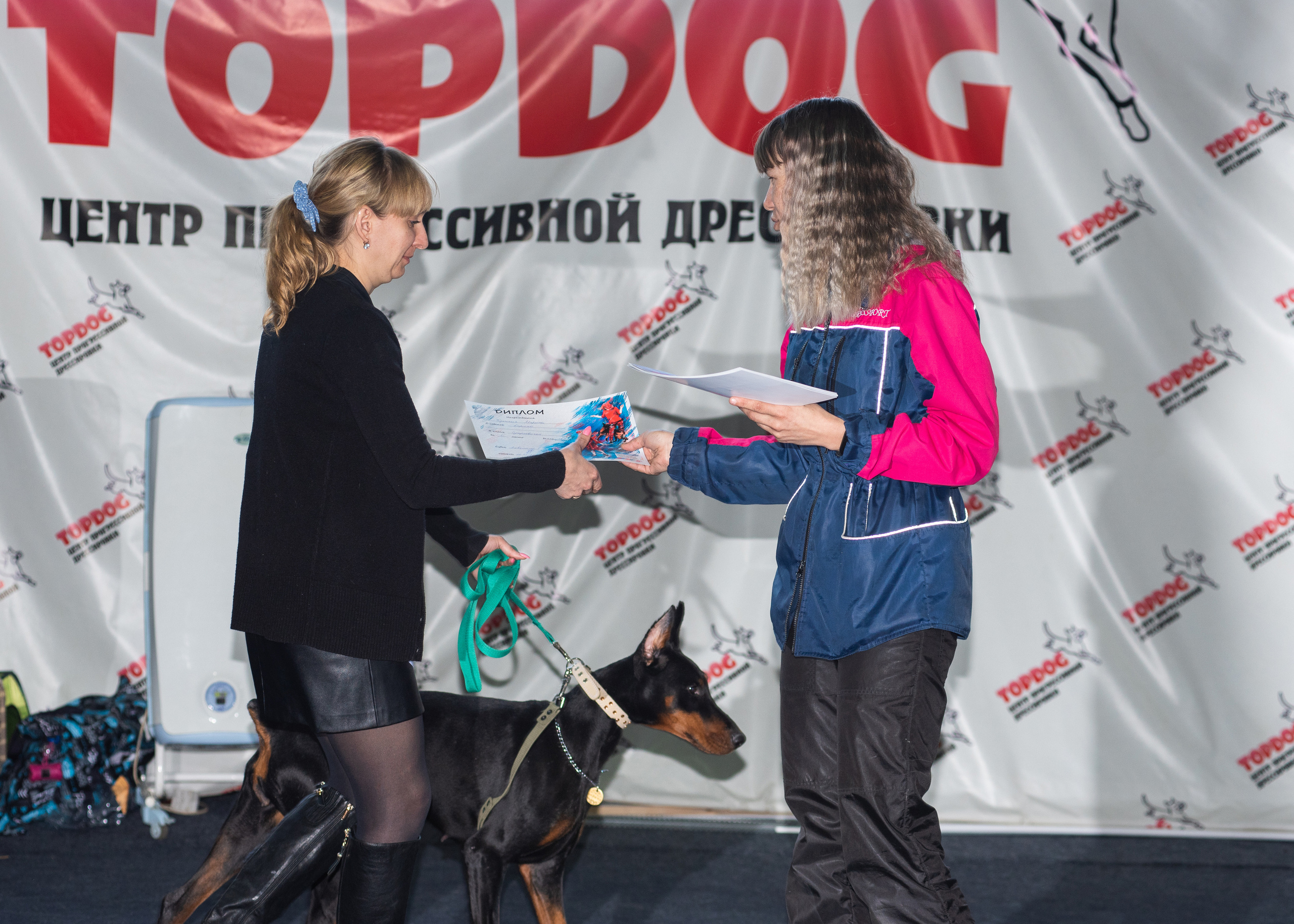 Танцы с собаками!. Дог-фотограф в Тюмени Александра Королева