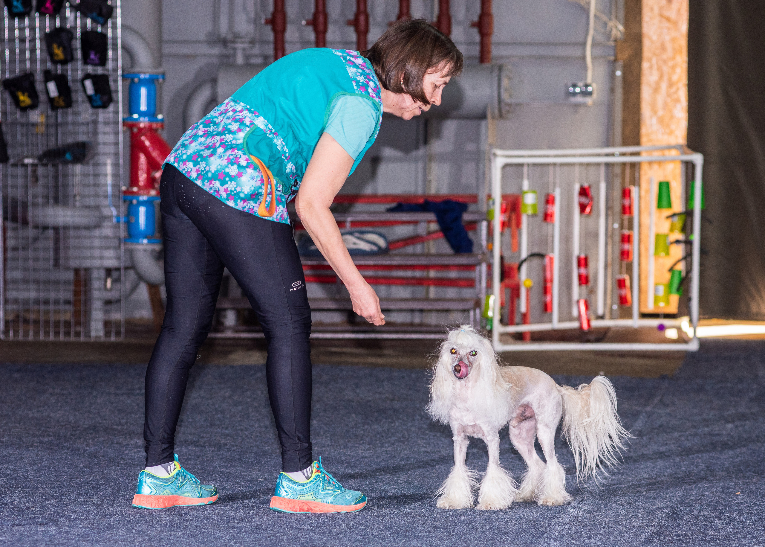 Танцы с собаками!. Дог-фотограф в Тюмени Александра Королева