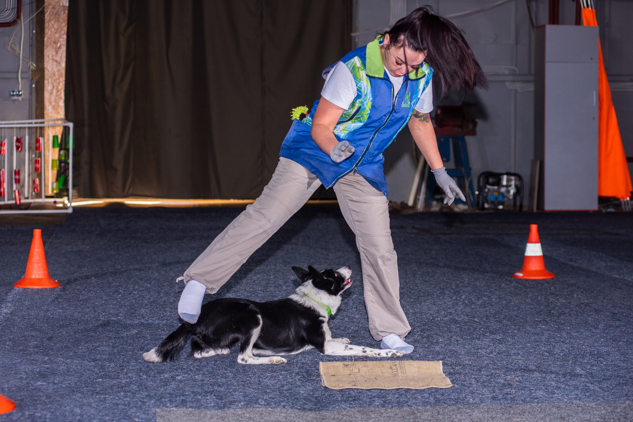 Танцы с собаками!. Дог-фотограф в Тюмени Александра Королева
