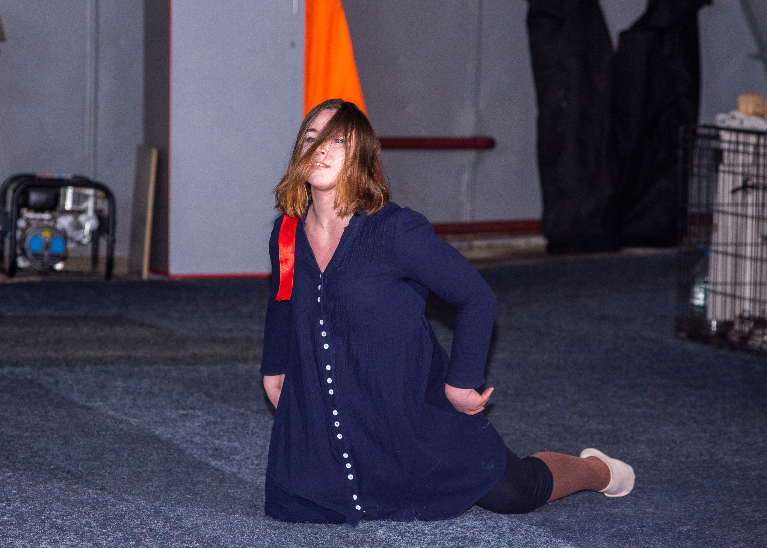 Танцы с собаками!. Дог-фотограф в Тюмени Александра Королева