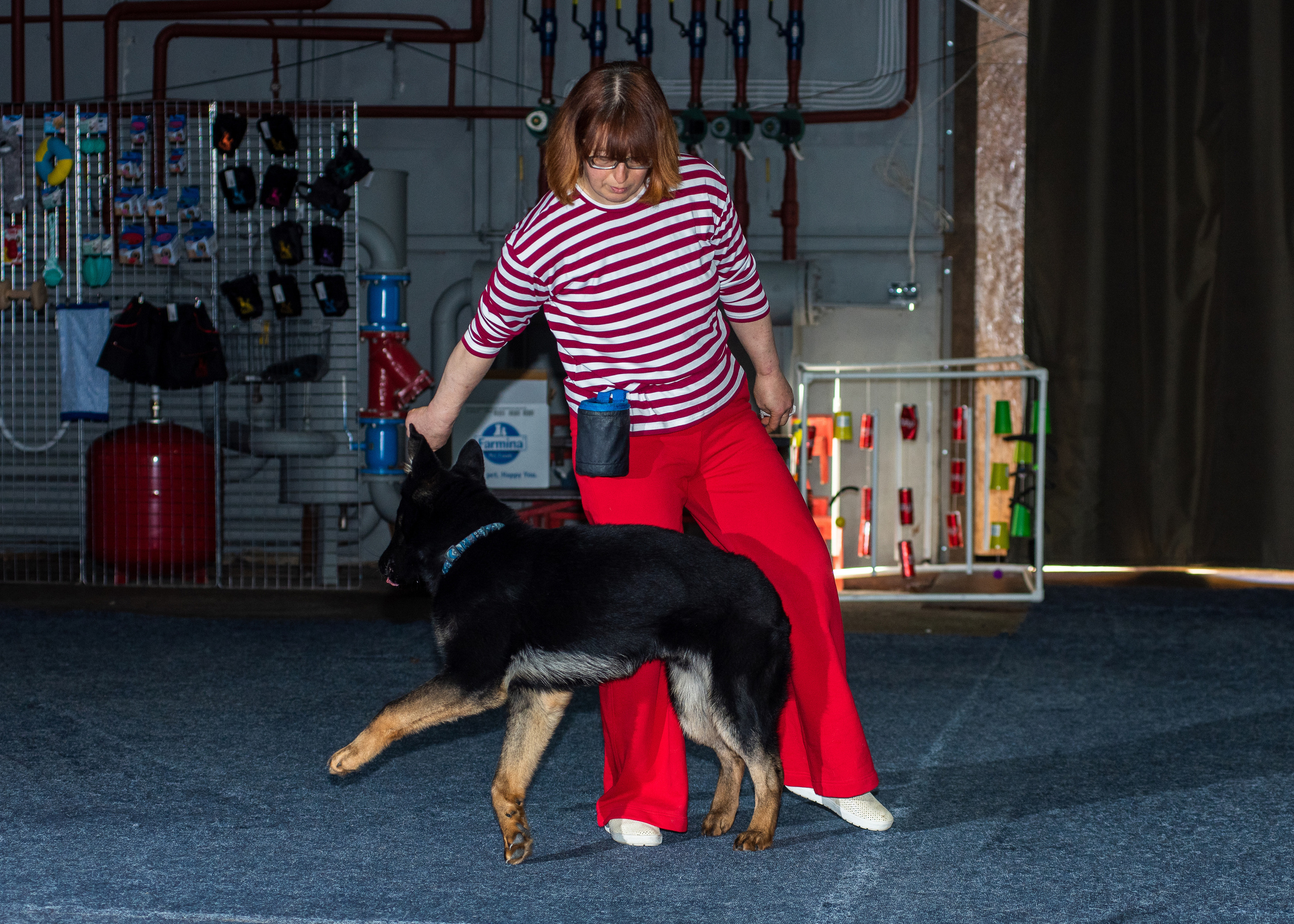 Танцы с собаками!. Дог-фотограф в Тюмени Александра Королева