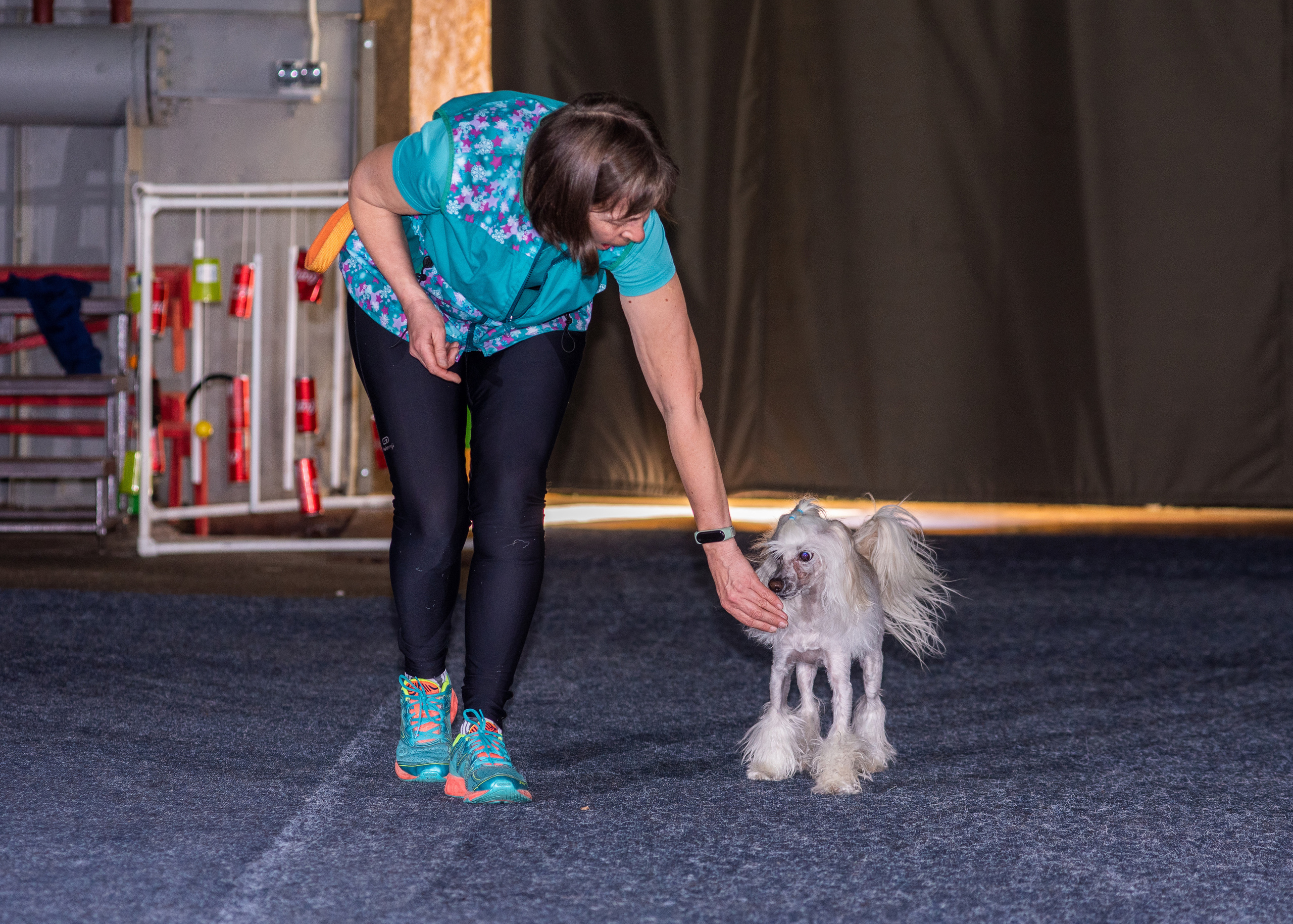 Танцы с собаками!. Дог-фотограф в Тюмени Александра Королева