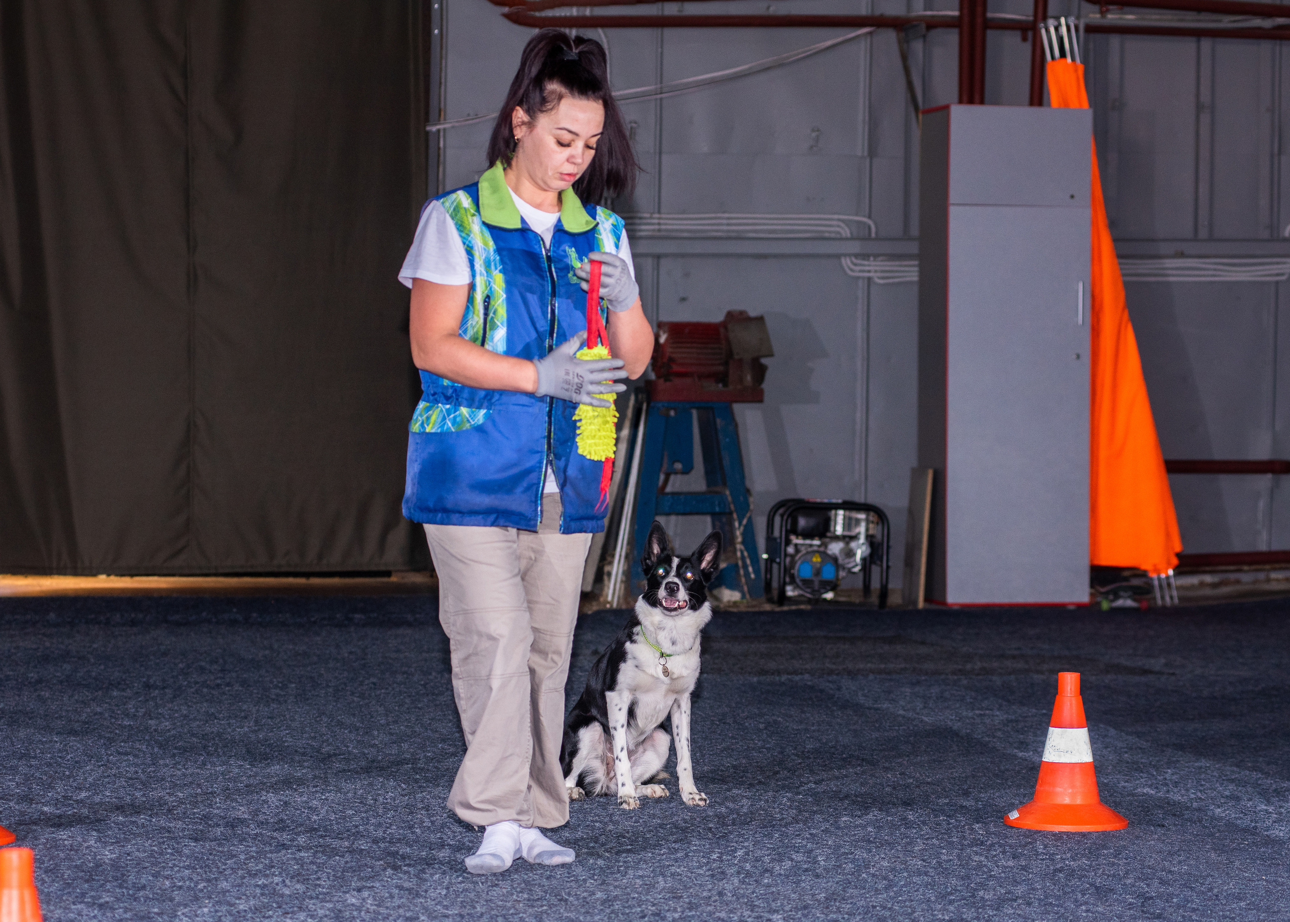 Танцы с собаками!. Дог-фотограф в Тюмени Александра Королева