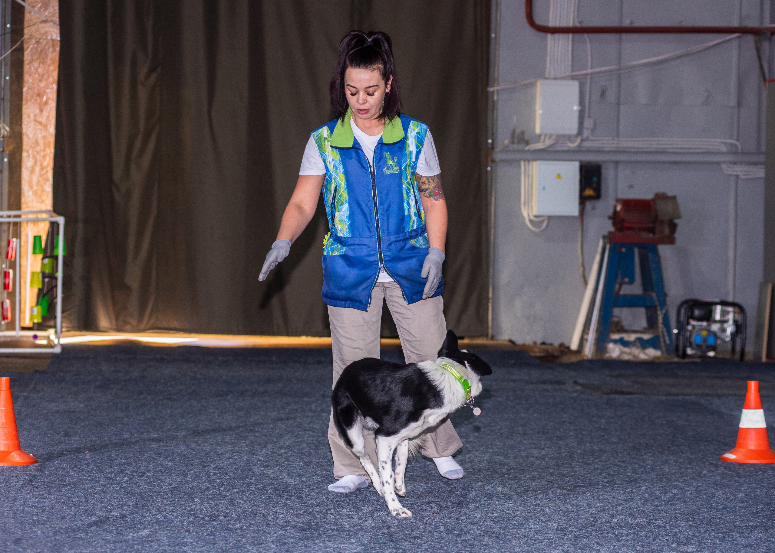 Танцы с собаками!. Дог-фотограф в Тюмени Александра Королева