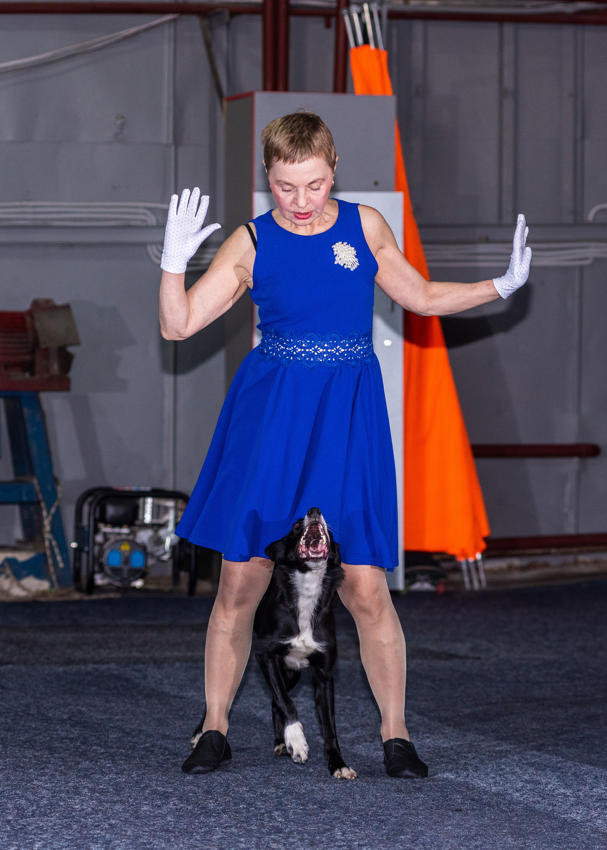 Танцы с собаками!. Дог-фотограф в Тюмени Александра Королева