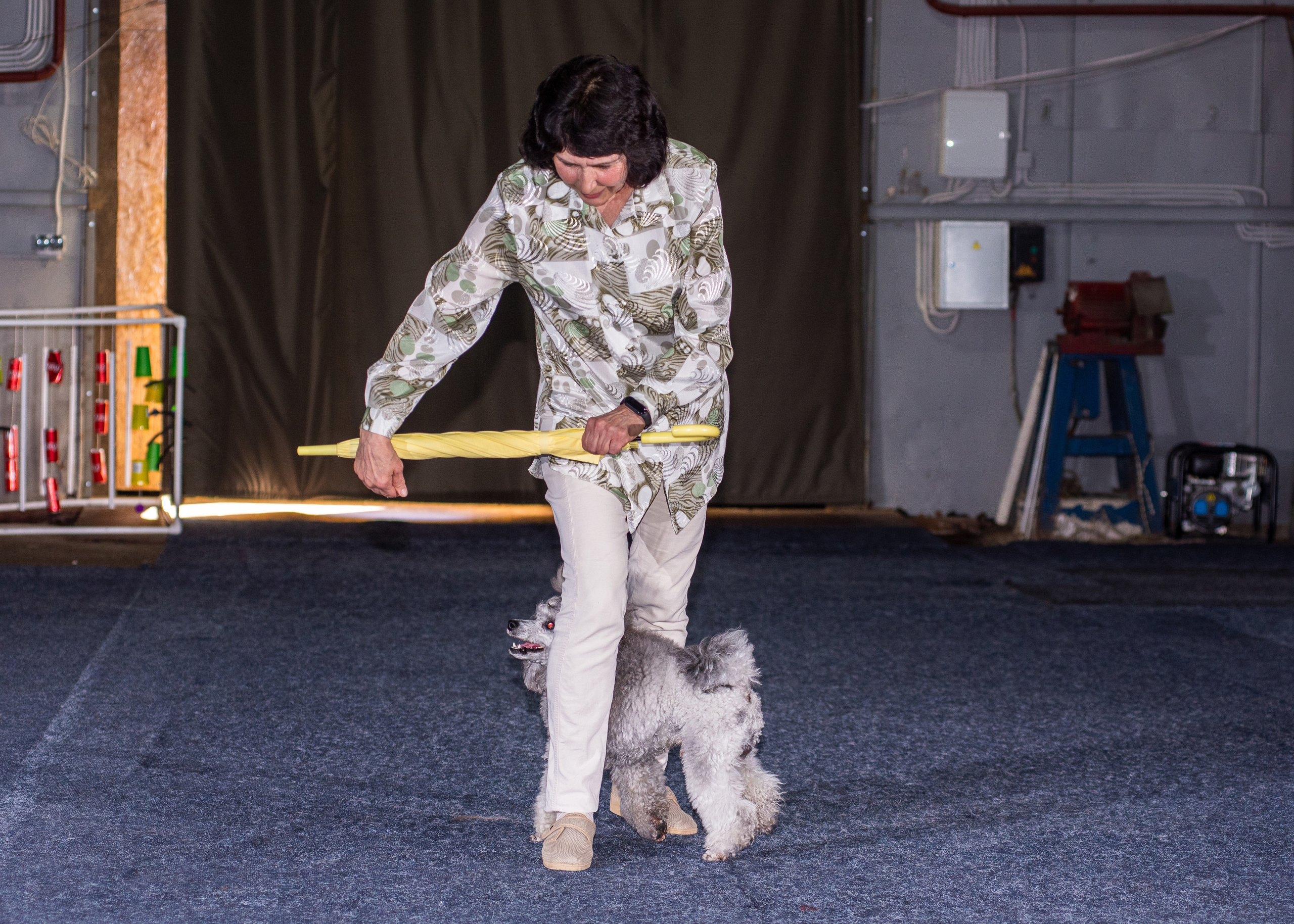 Танцы с собаками!. Дог-фотограф в Тюмени Александра Королева