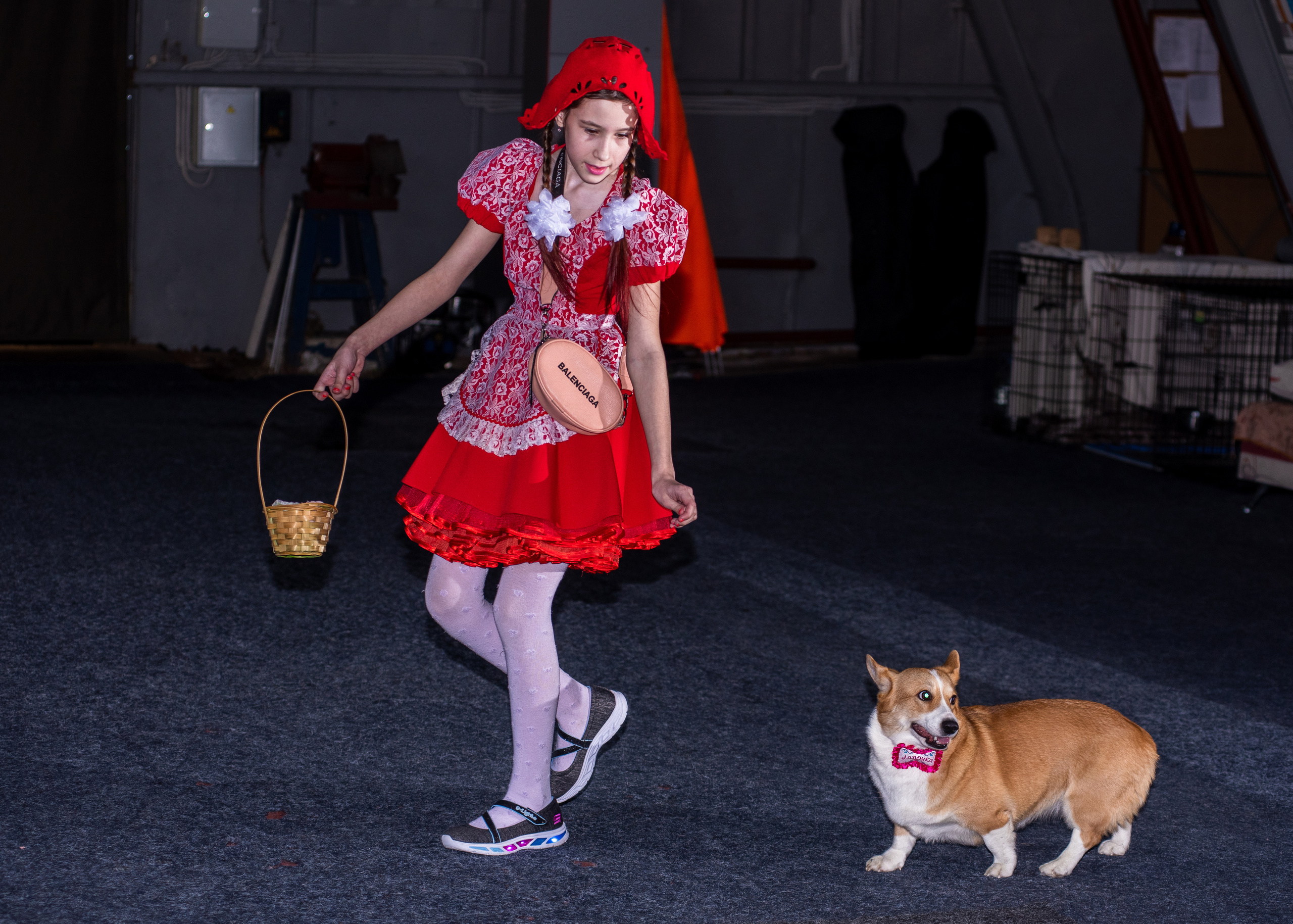 Танцы с собаками!. Дог-фотограф в Тюмени Александра Королева