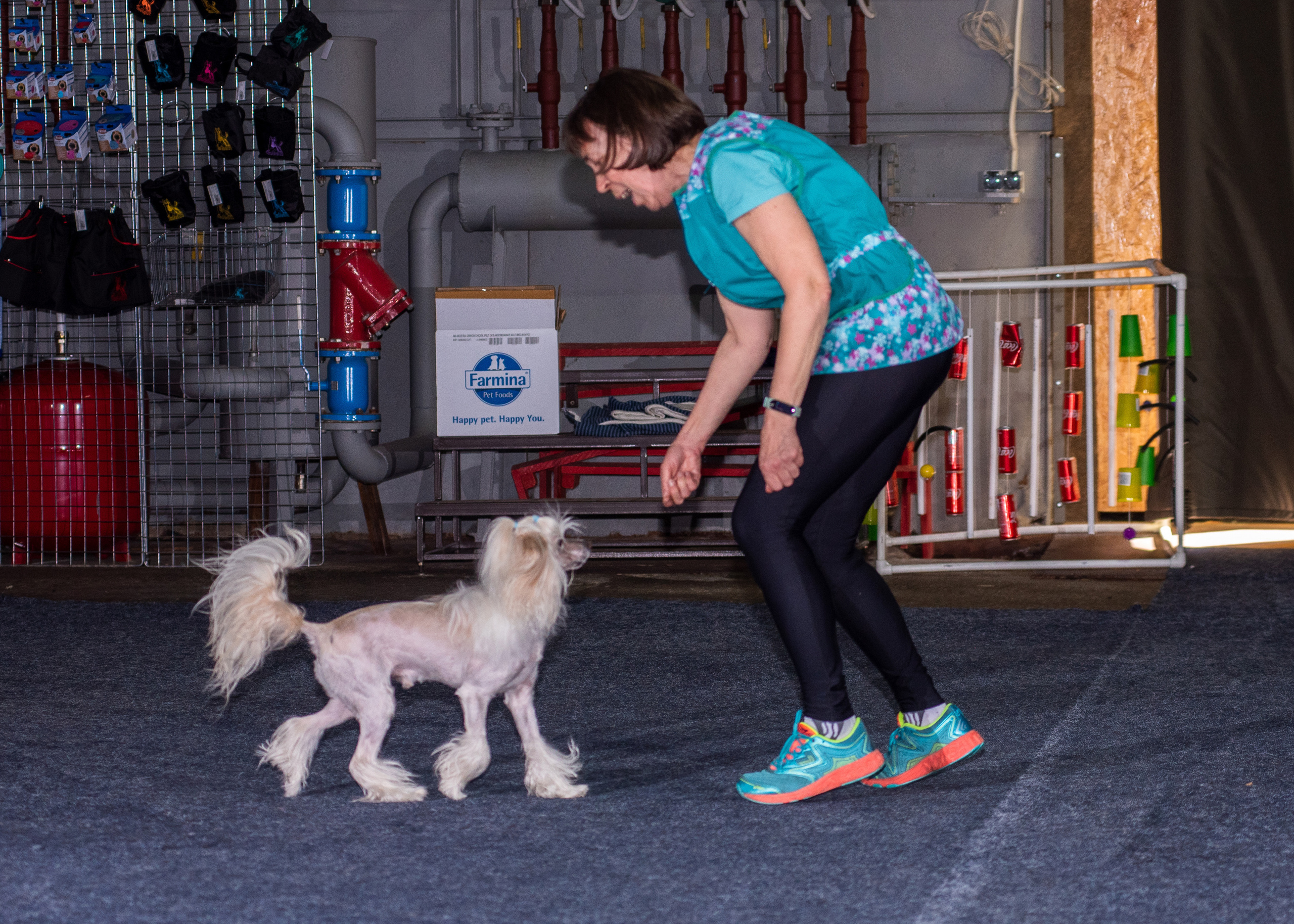 Танцы с собаками!. Дог-фотограф в Тюмени Александра Королева