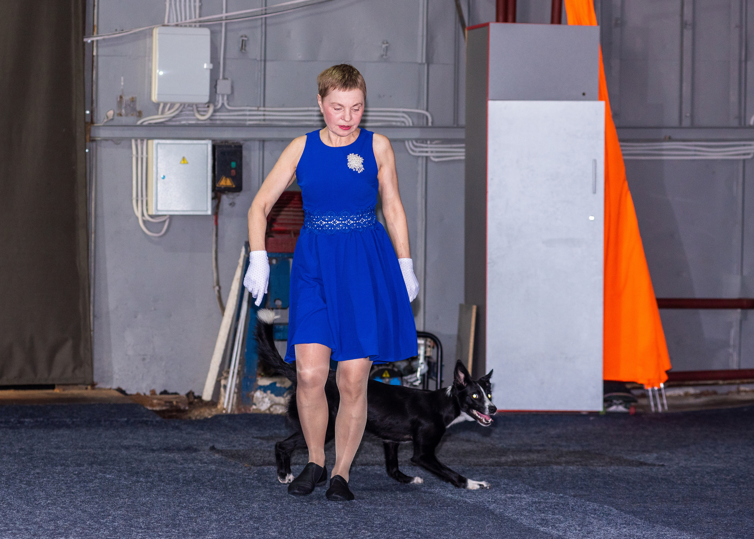 Танцы с собаками!. Дог-фотограф в Тюмени Александра Королева