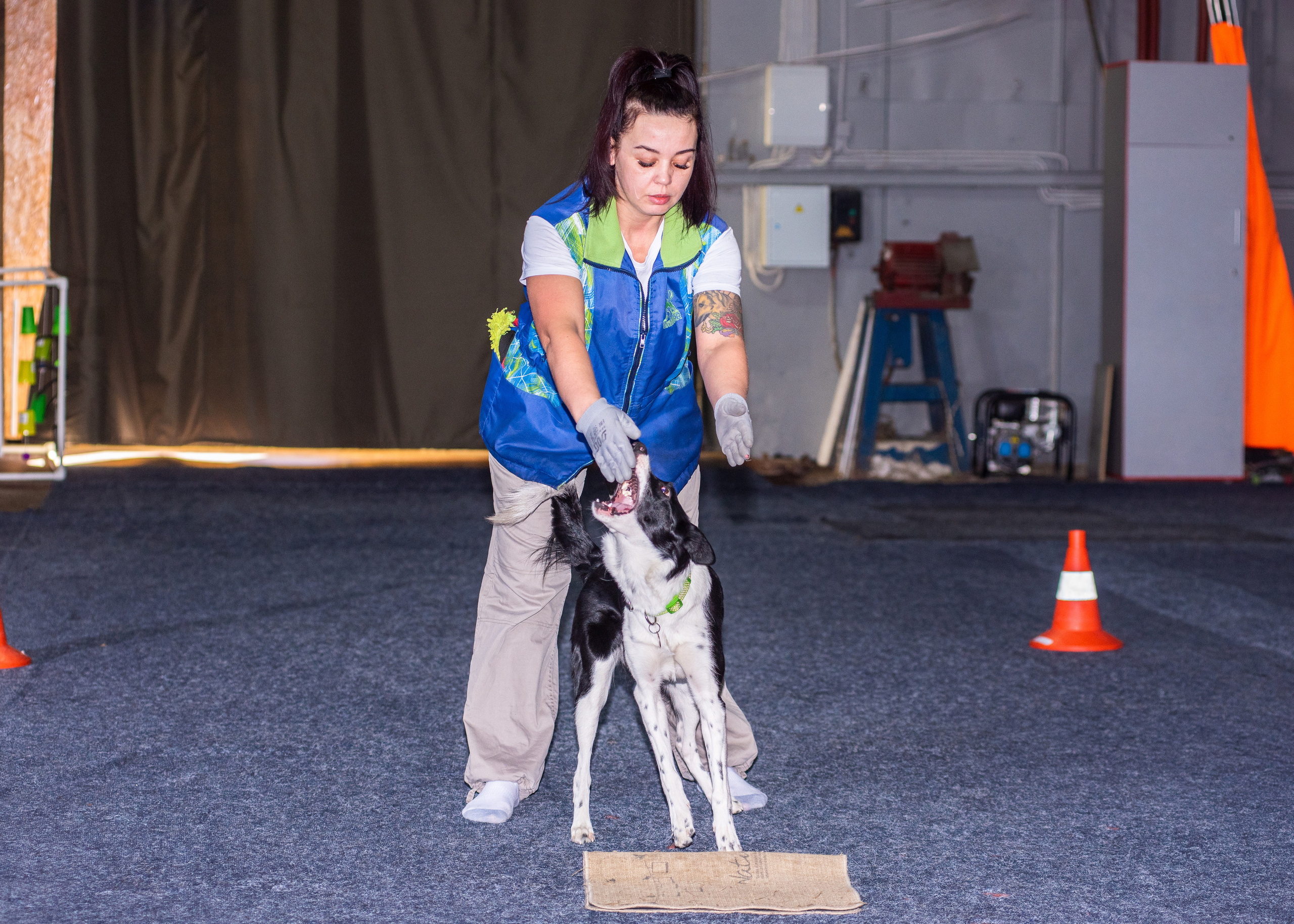 Танцы с собаками!. Дог-фотограф в Тюмени Александра Королева
