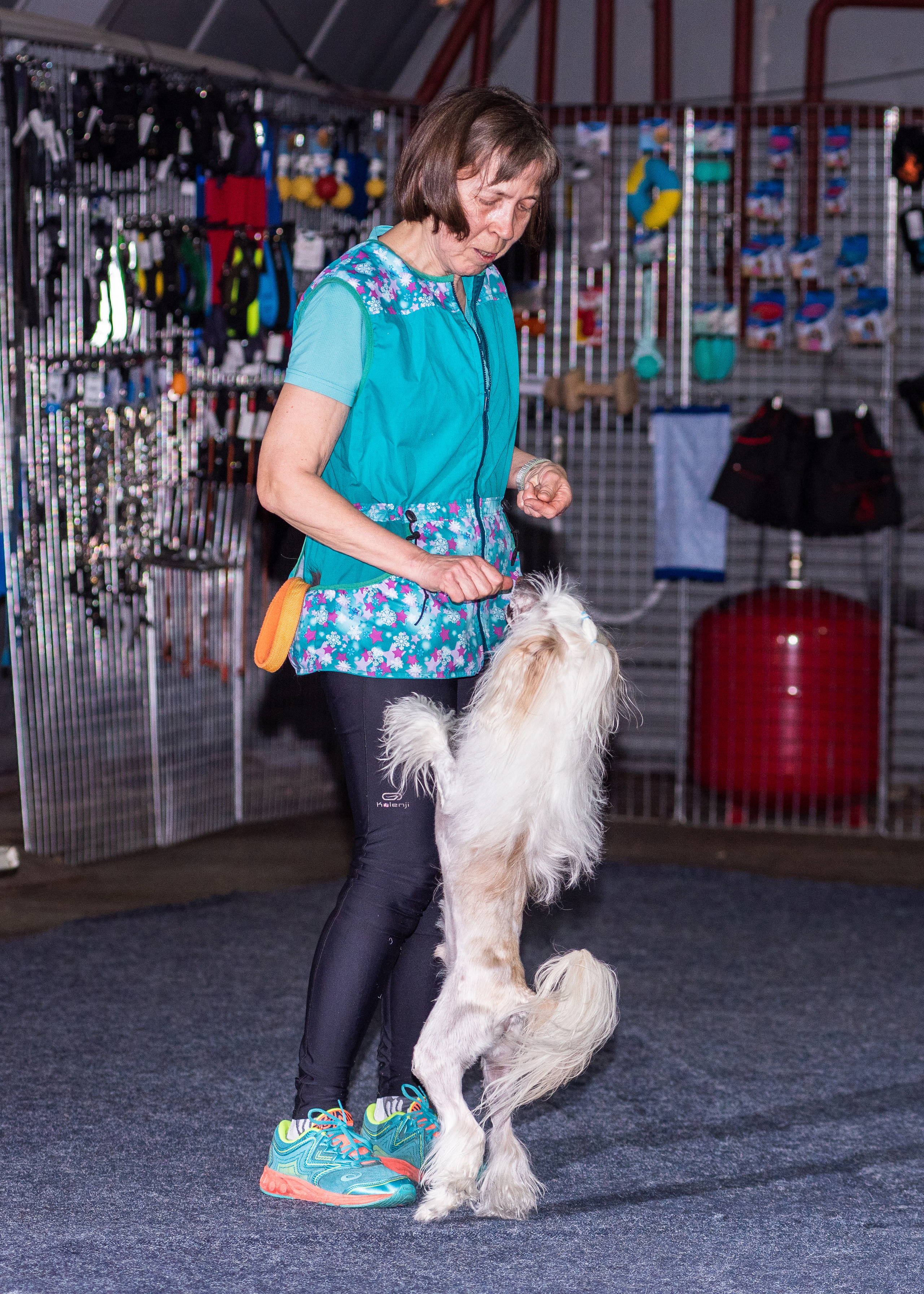 Танцы с собаками!. Дог-фотограф в Тюмени Александра Королева