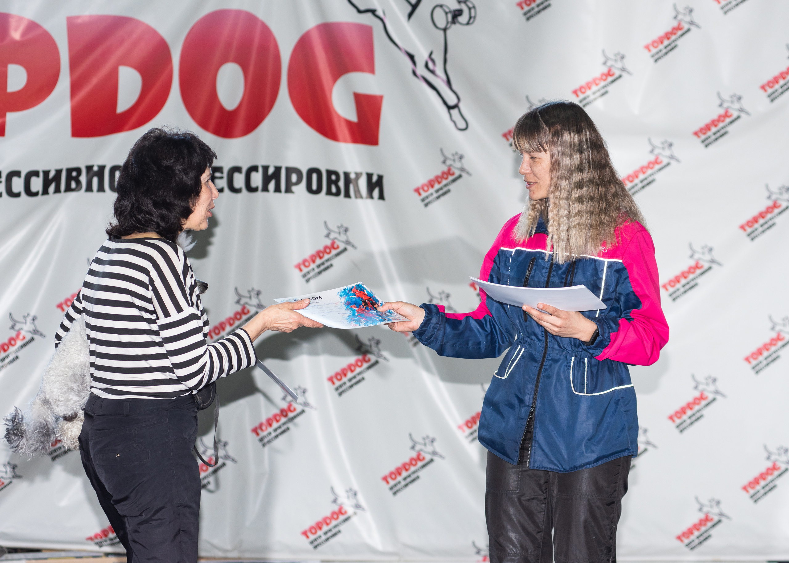 Танцы с собаками!. Дог-фотограф в Тюмени Александра Королева