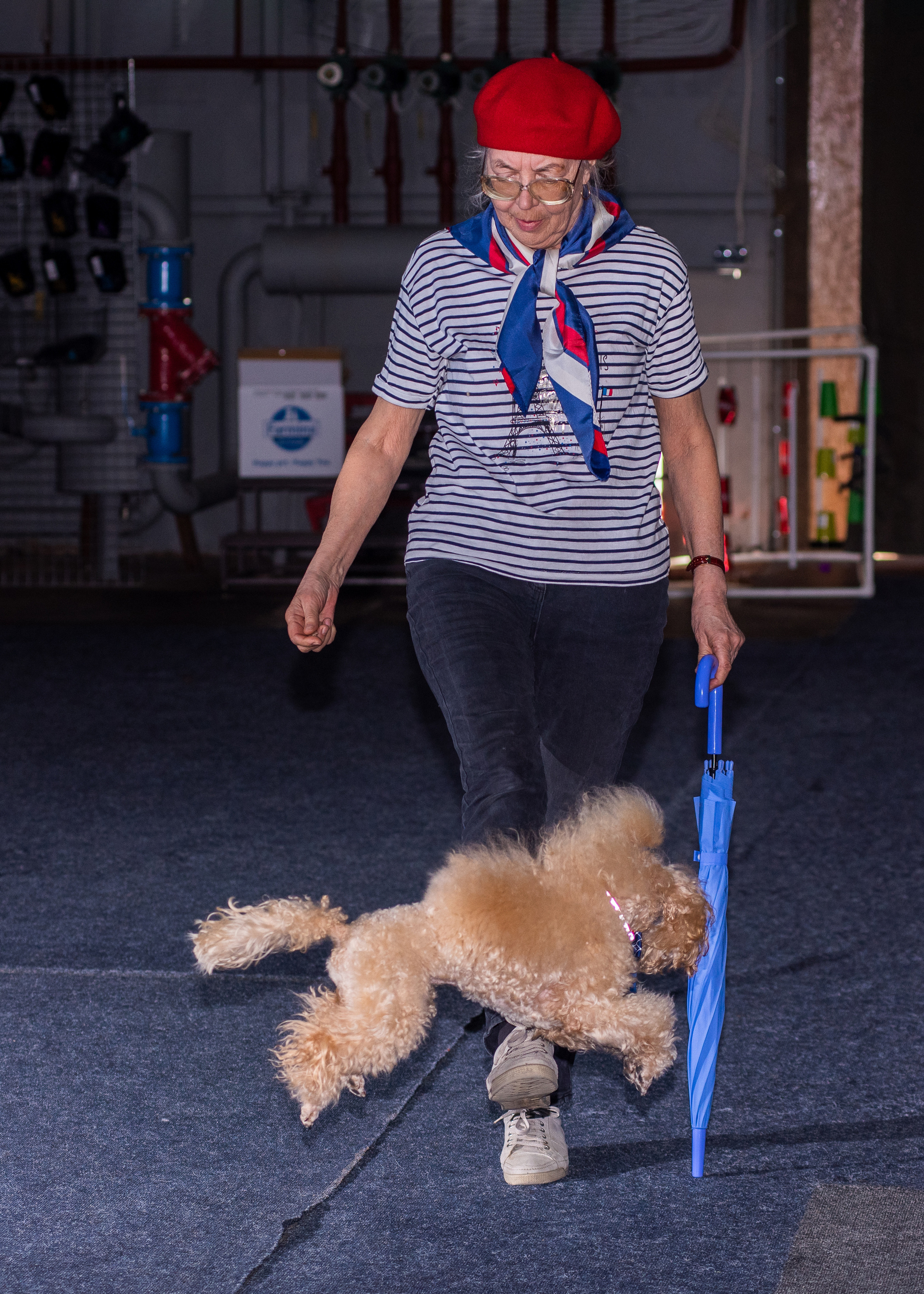 Танцы с собаками!. Дог-фотограф в Тюмени Александра Королева