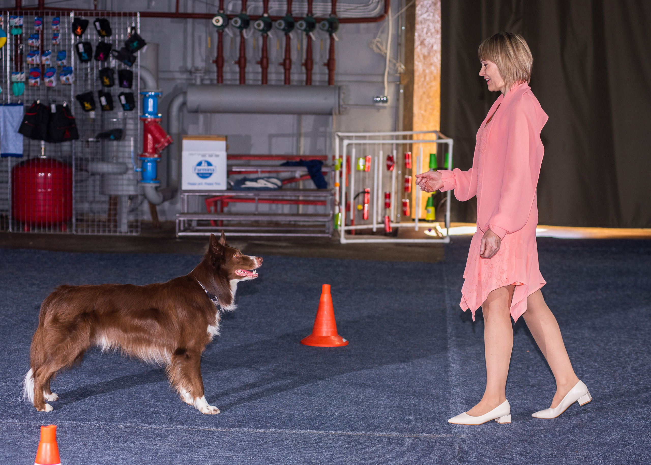 Танцы с собаками!. Дог-фотограф в Тюмени Александра Королева