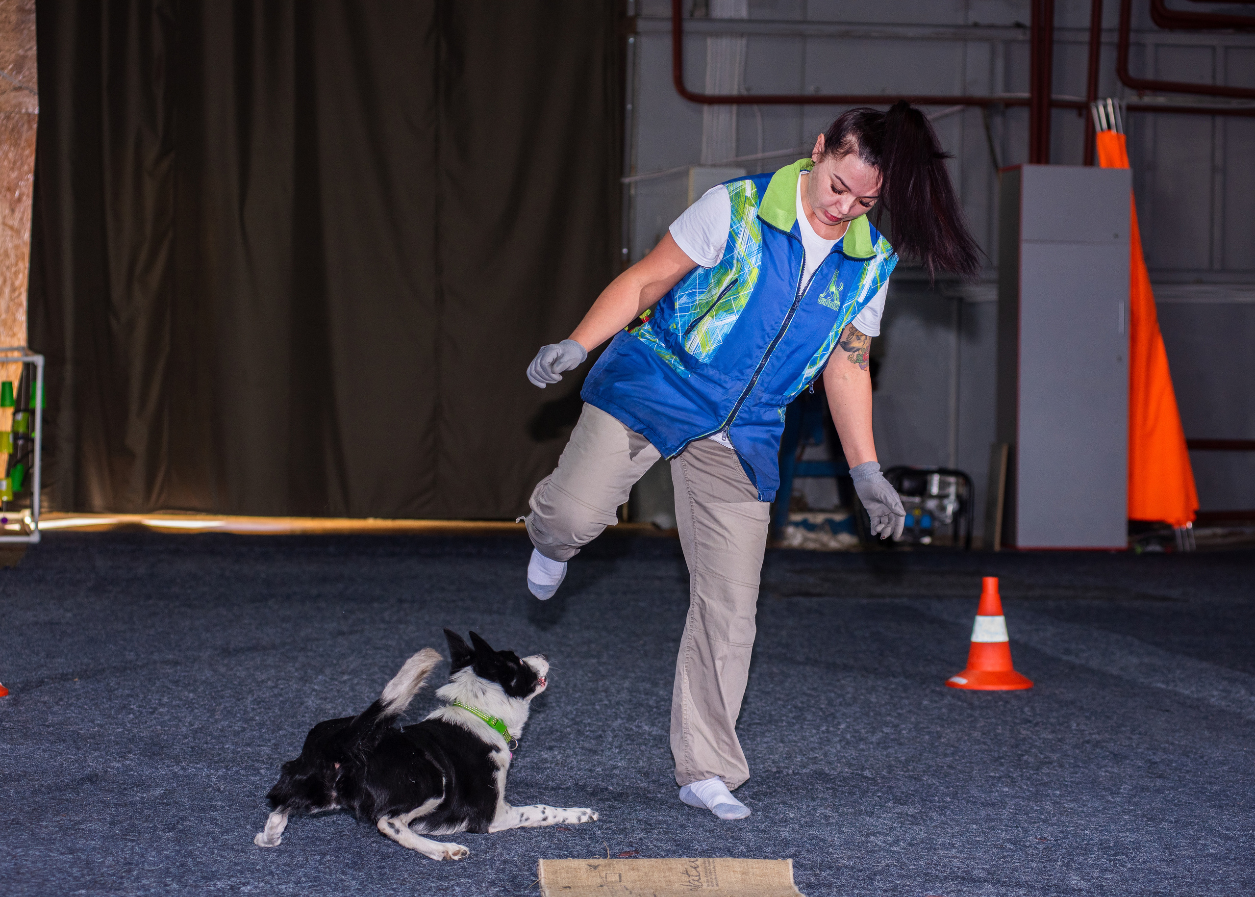 Танцы с собаками!. Дог-фотограф в Тюмени Александра Королева