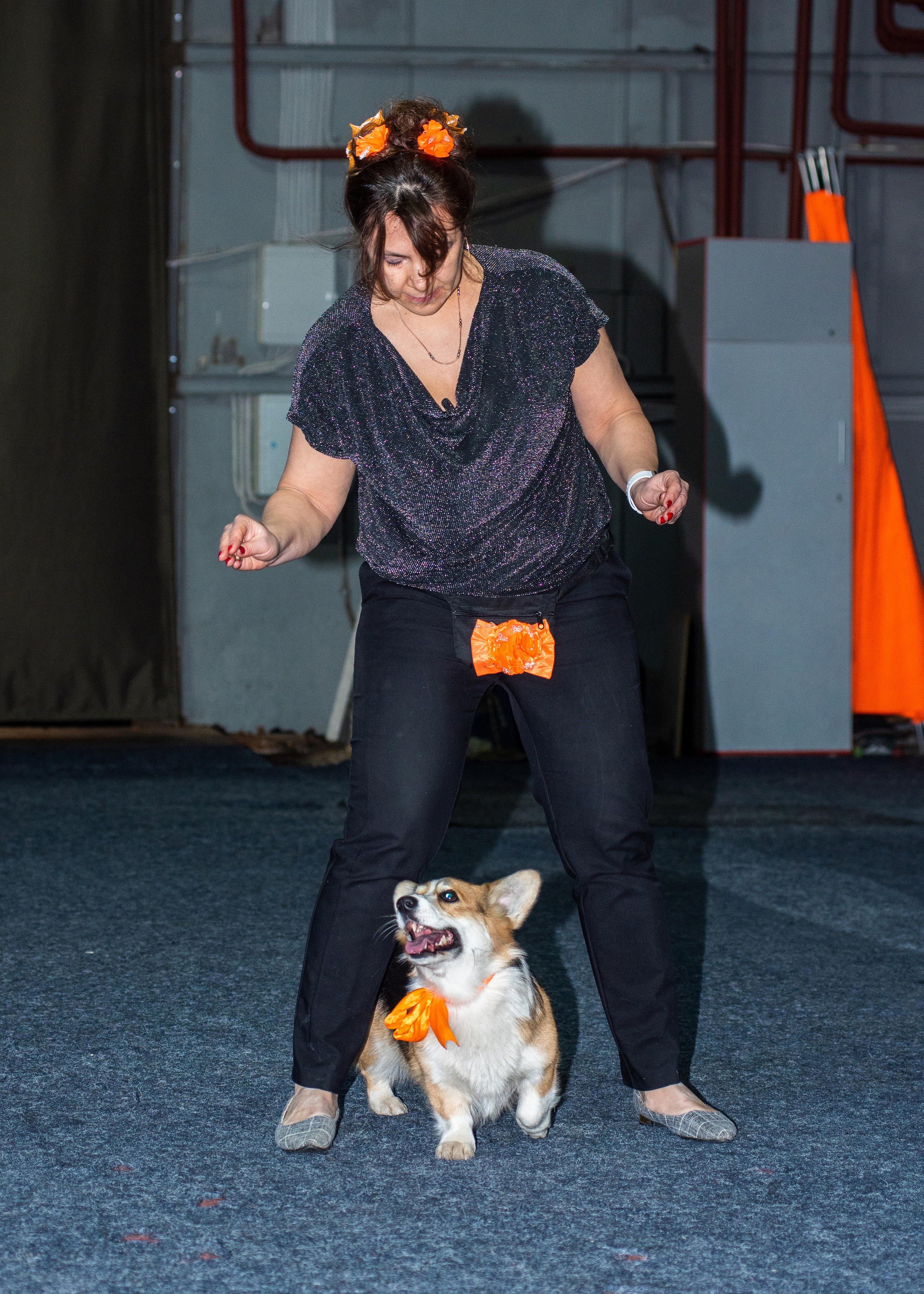 Танцы с собаками!. Дог-фотограф в Тюмени Александра Королева