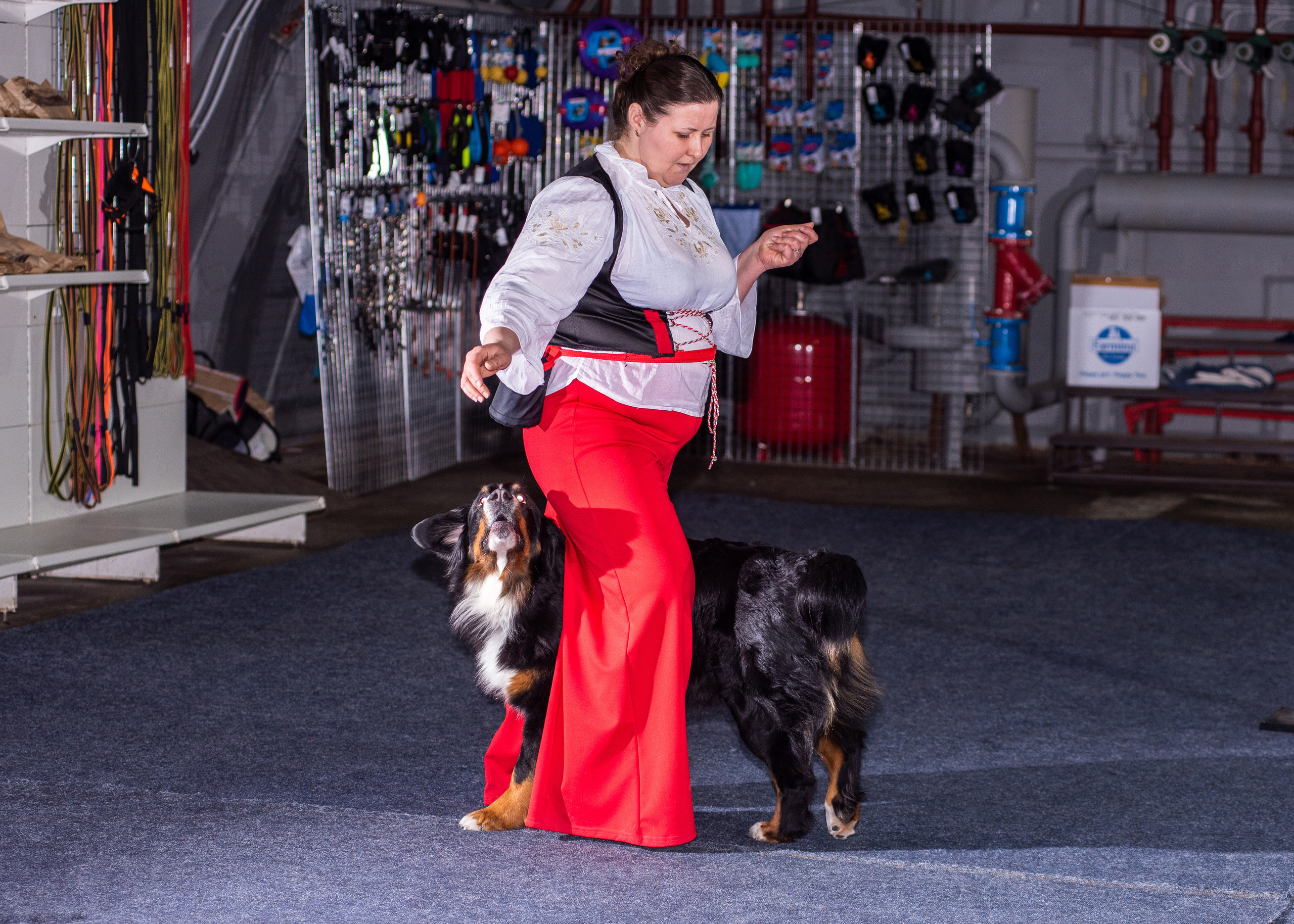 Танцы с собаками!. Дог-фотограф в Тюмени Александра Королева