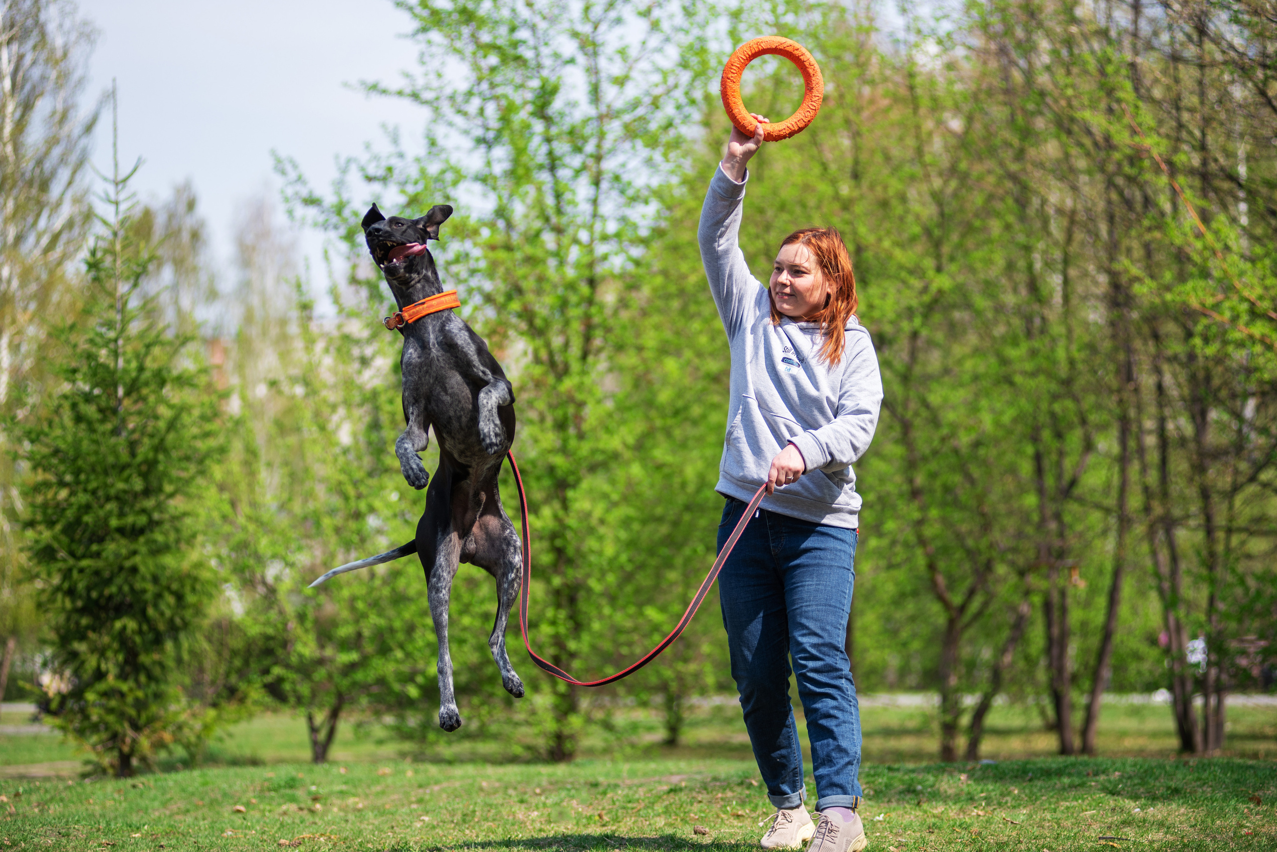 Летние пятнистые весельчаки). Дог-фотограф в Тюмени Александра Королева
