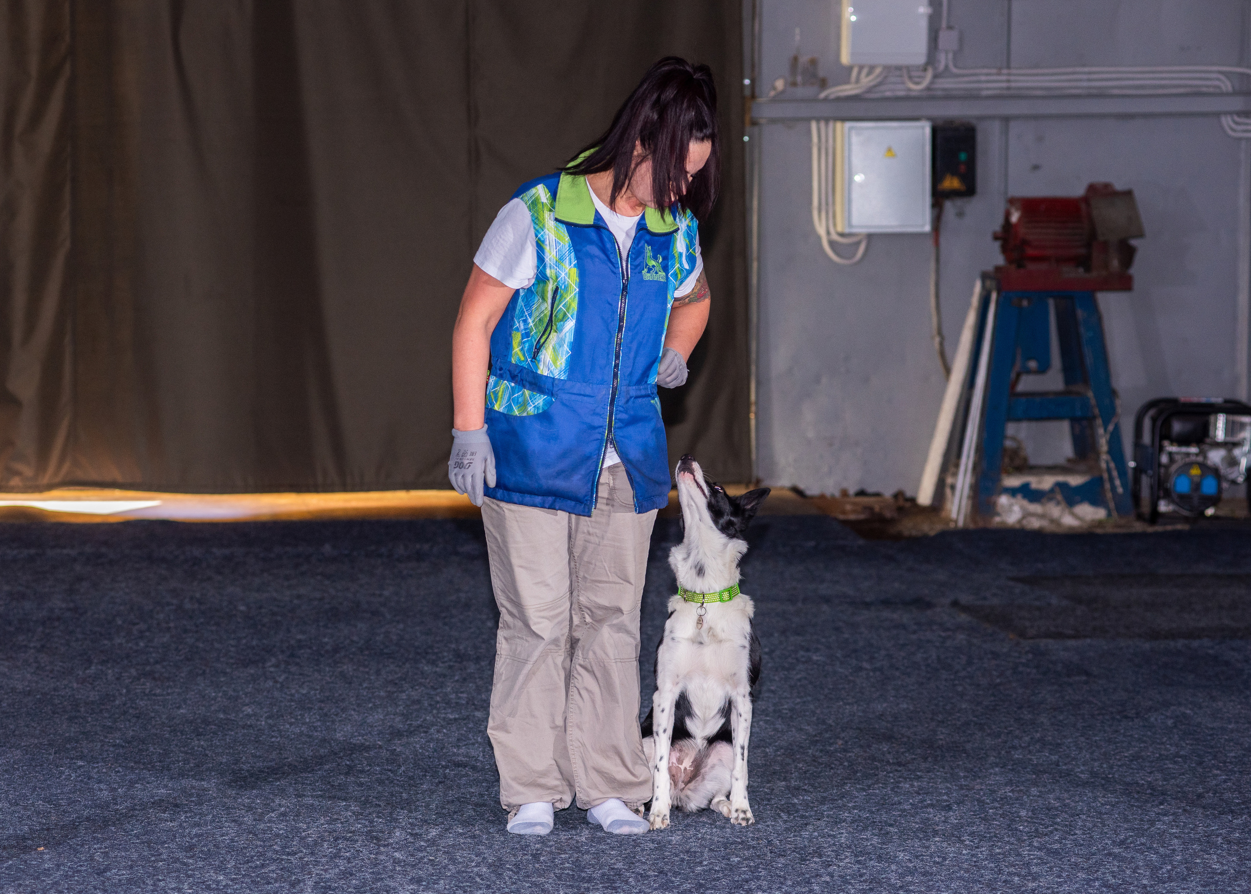 Танцы с собаками!. Дог-фотограф в Тюмени Александра Королева