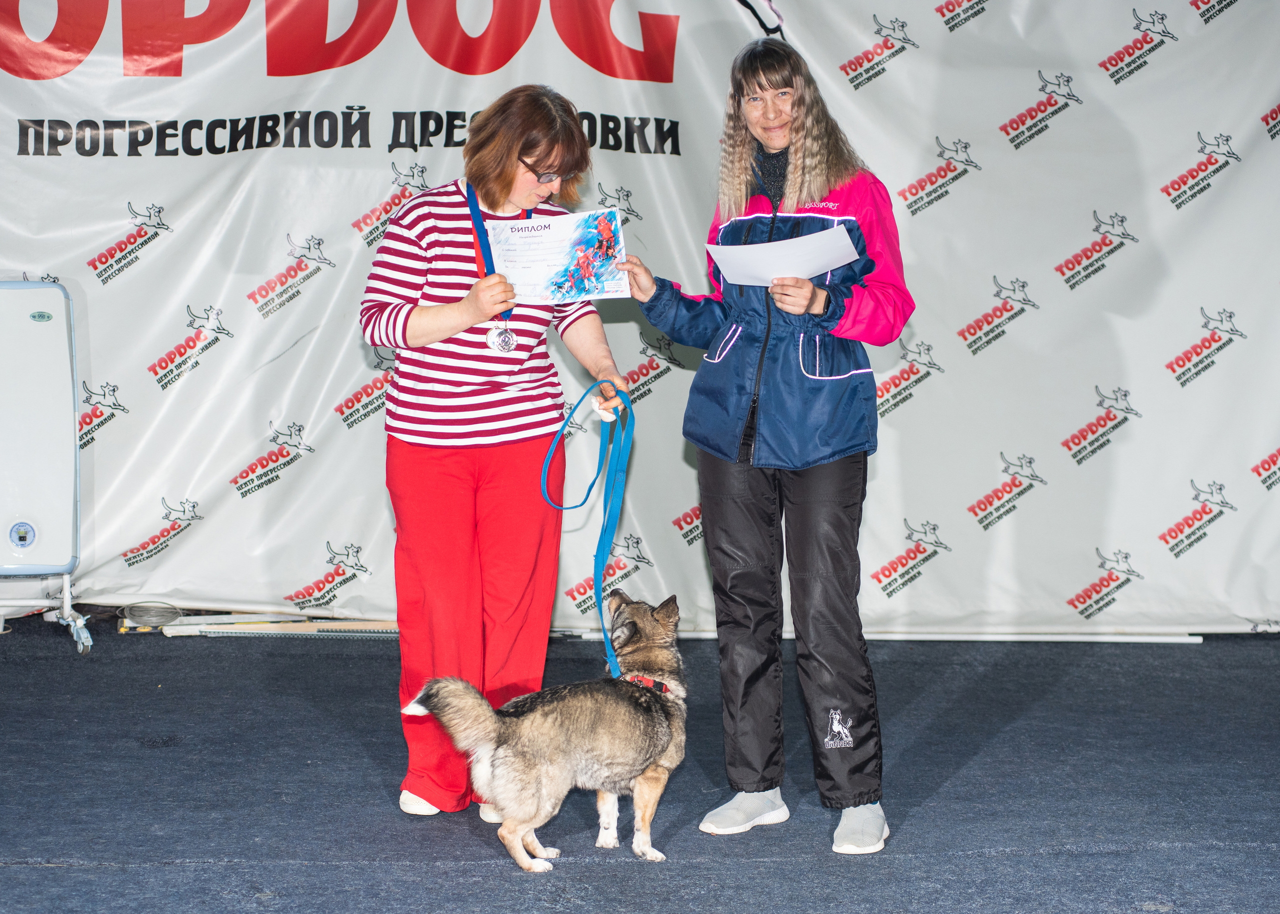 Танцы с собаками!. Дог-фотограф в Тюмени Александра Королева