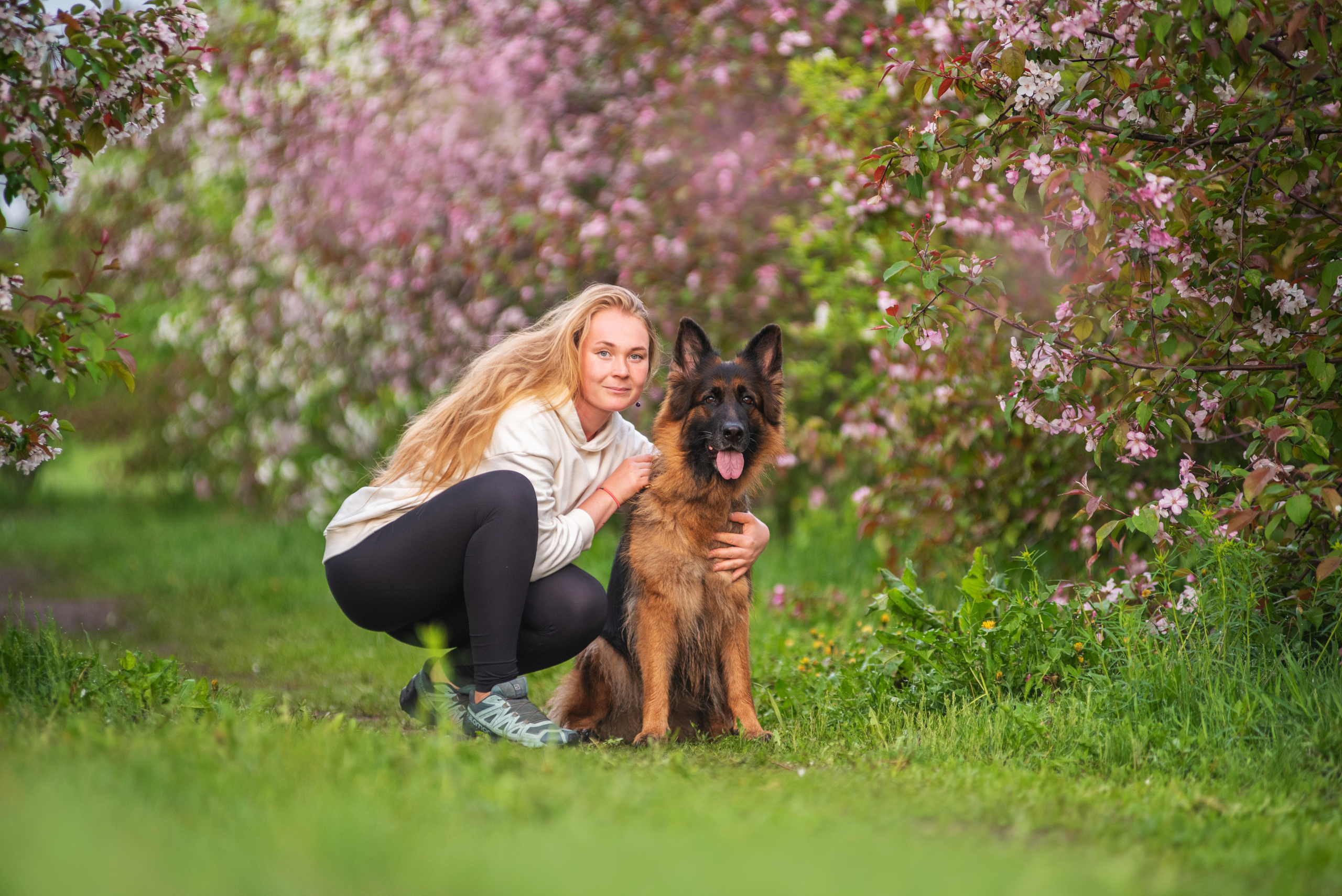 Овчарка в яблонях. Дог-фотограф в Тюмени Александра Королева