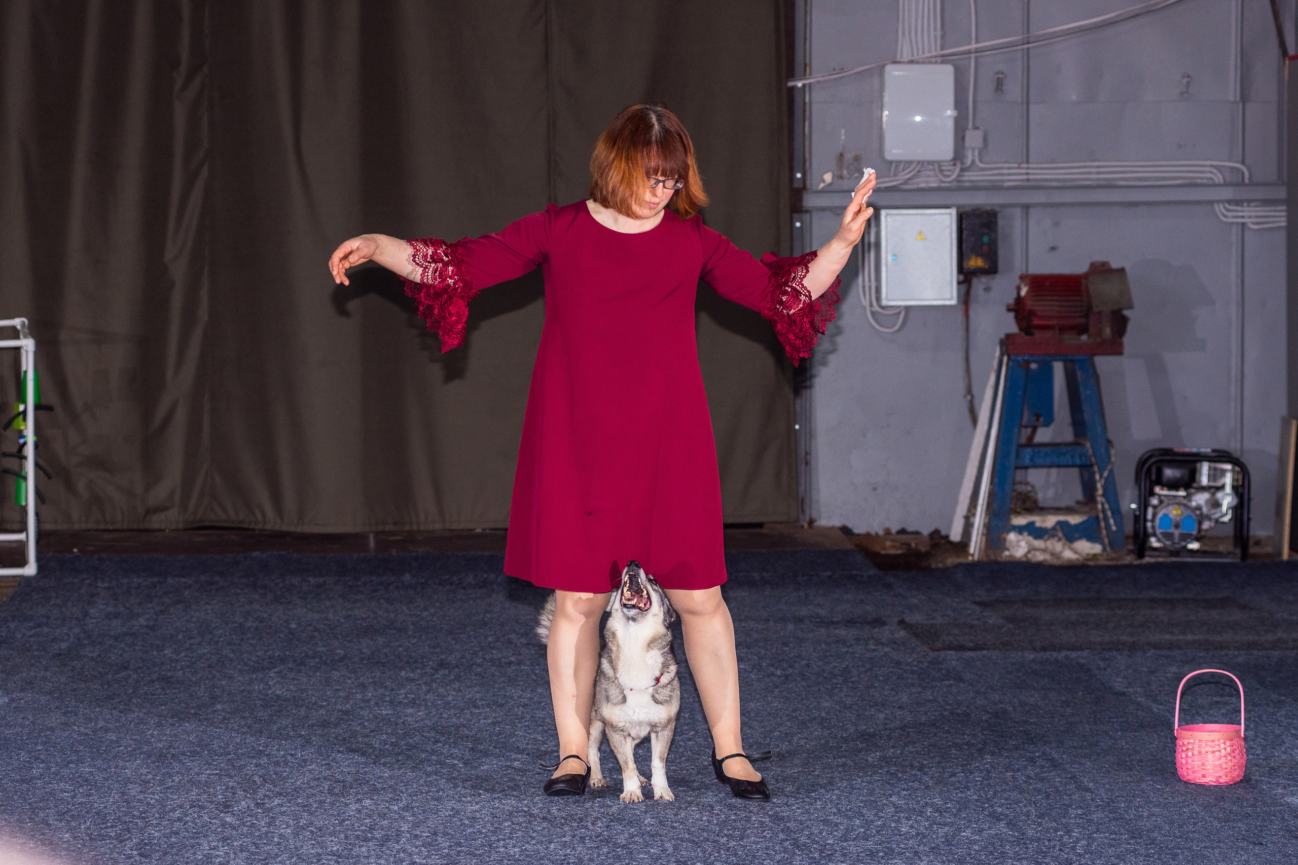 Танцы с собаками!. Дог-фотограф в Тюмени Александра Королева