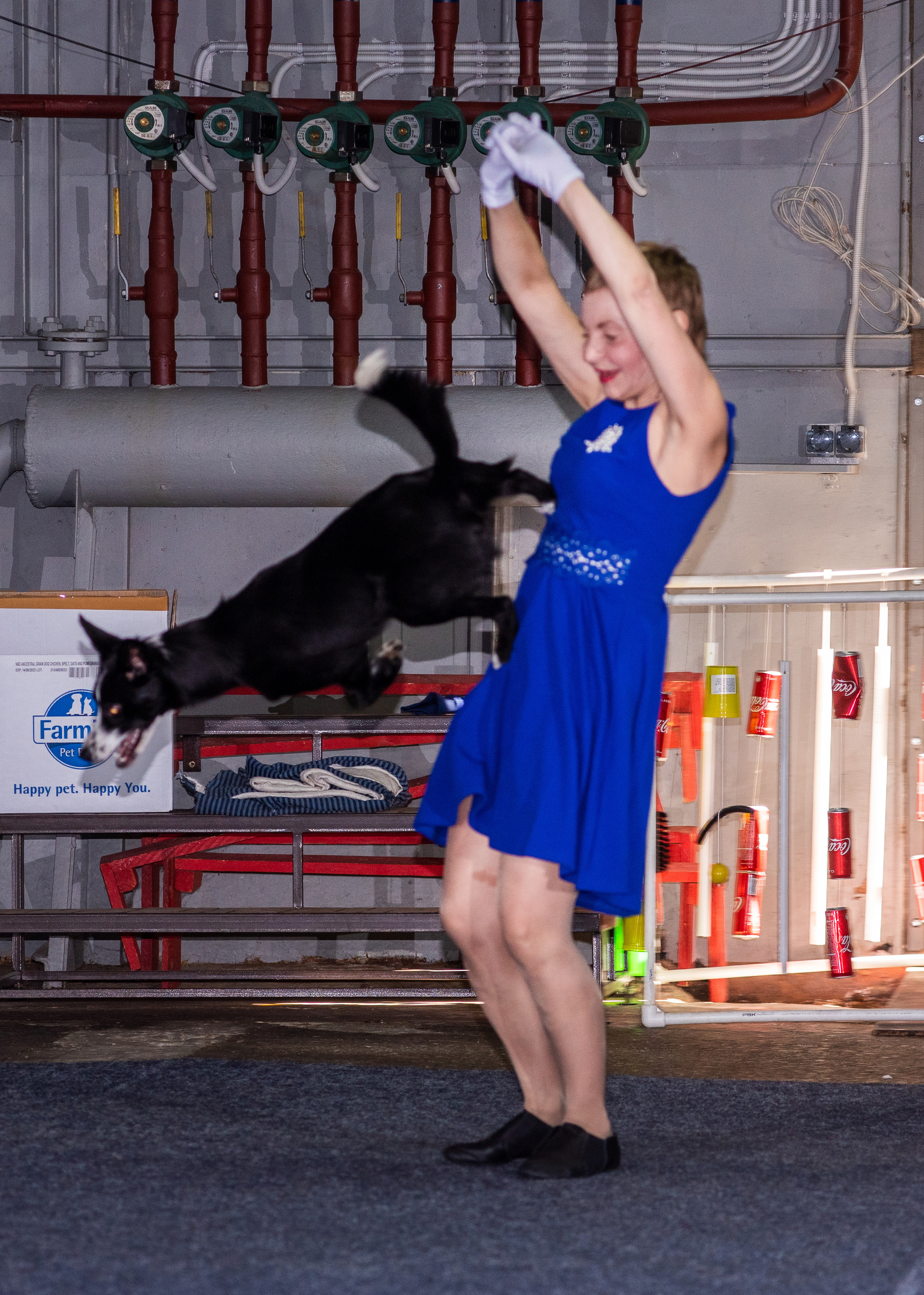 Танцы с собаками!. Дог-фотограф в Тюмени Александра Королева