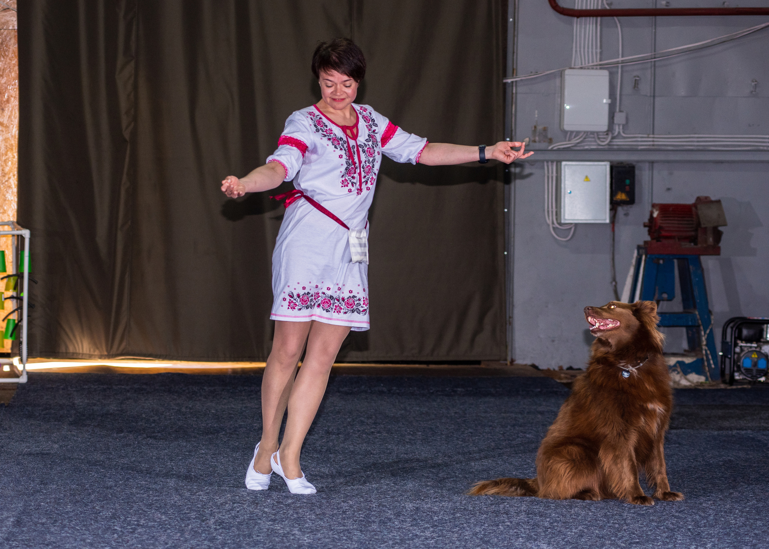 Танцы с собаками!. Дог-фотограф в Тюмени Александра Королева