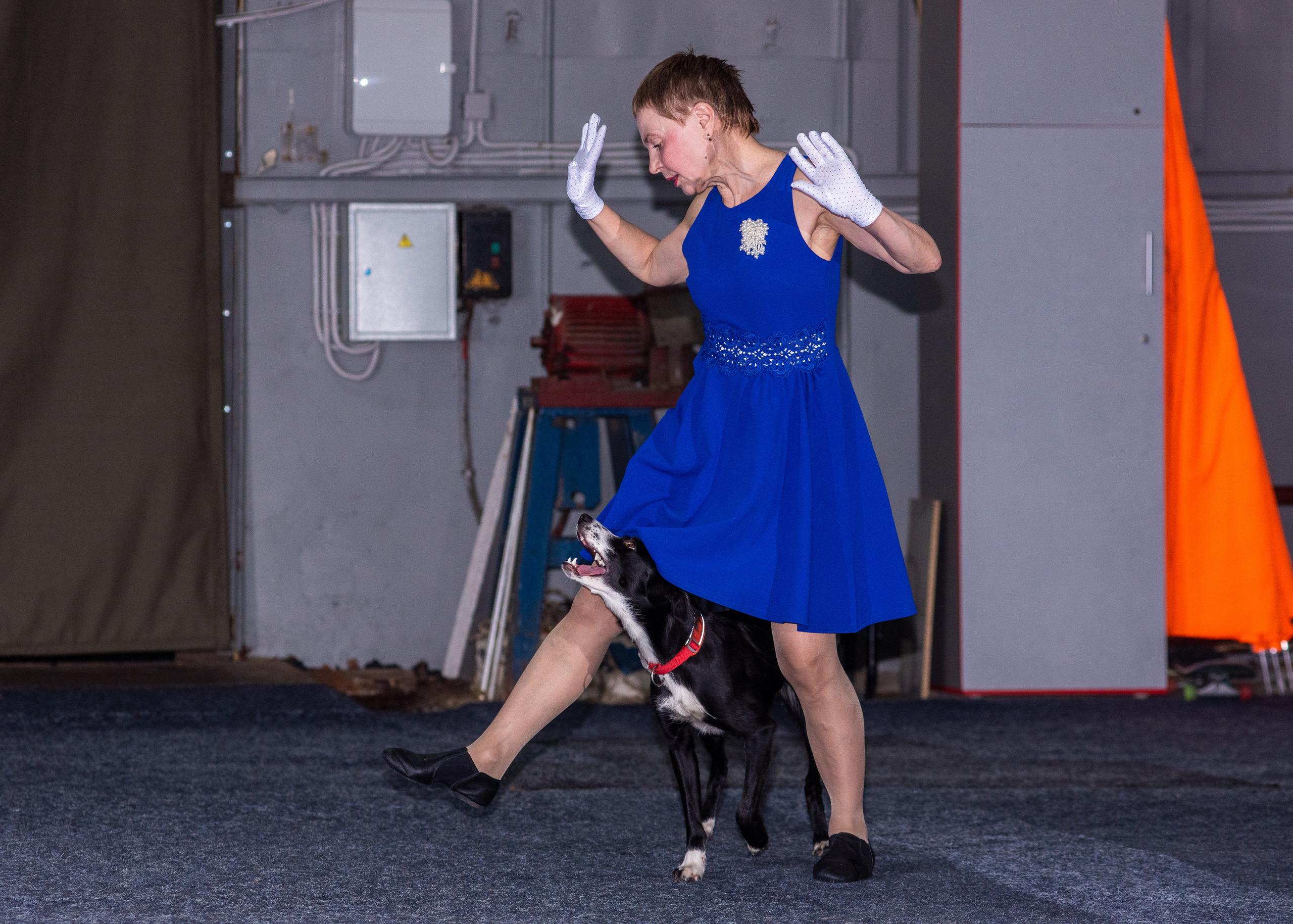 Танцы с собаками!. Дог-фотограф в Тюмени Александра Королева