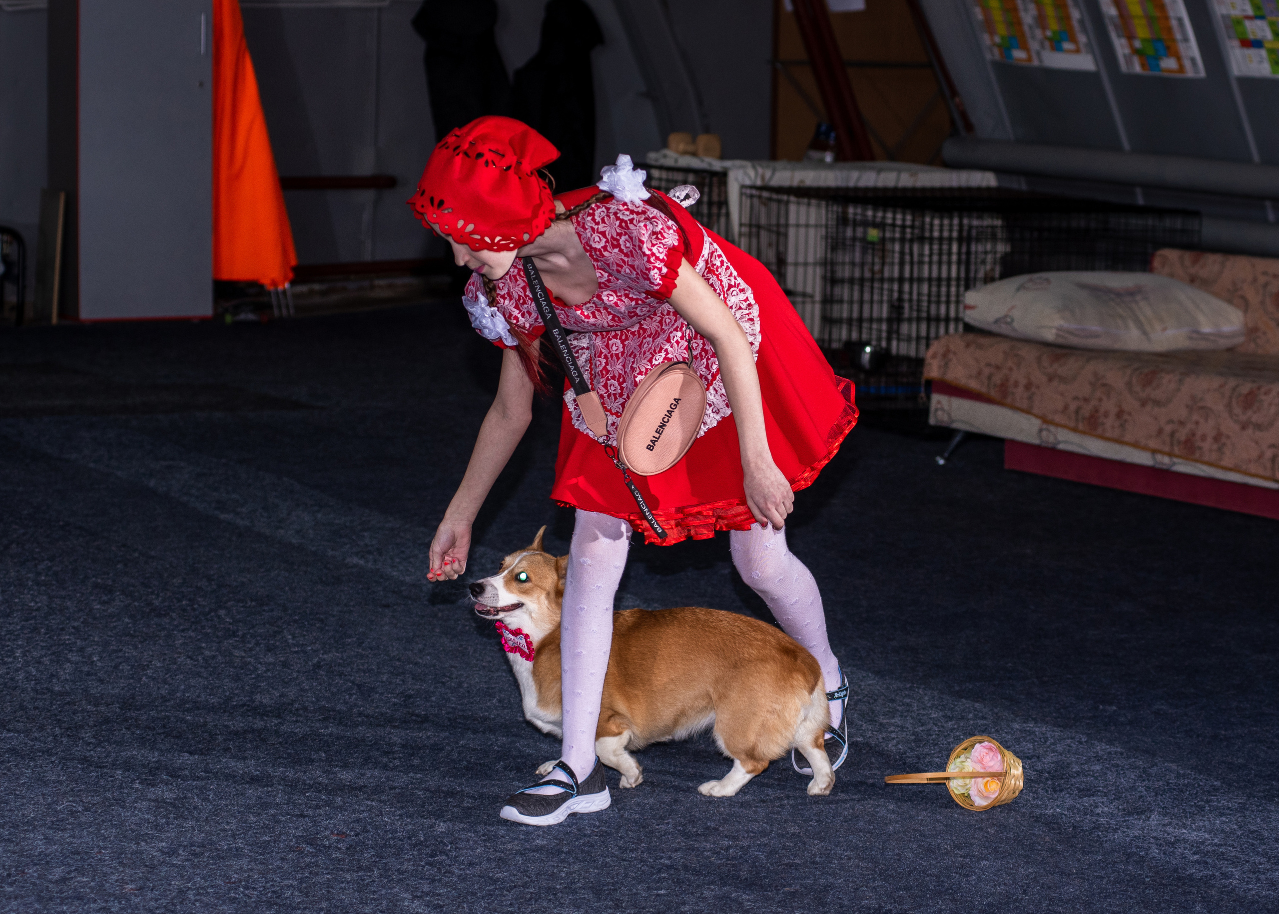 Танцы с собаками!. Дог-фотограф в Тюмени Александра Королева