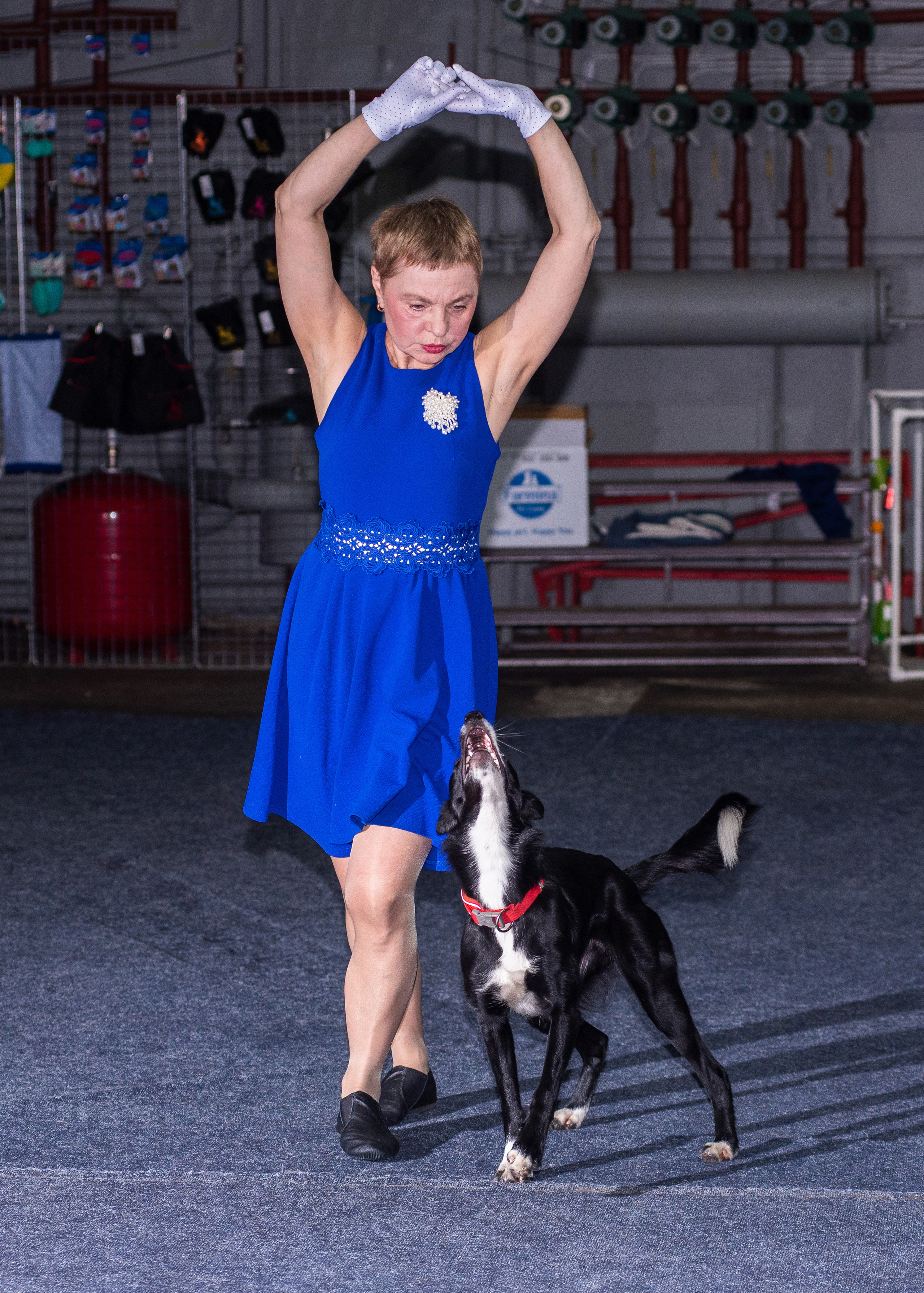 Танцы с собаками!. Дог-фотограф в Тюмени Александра Королева