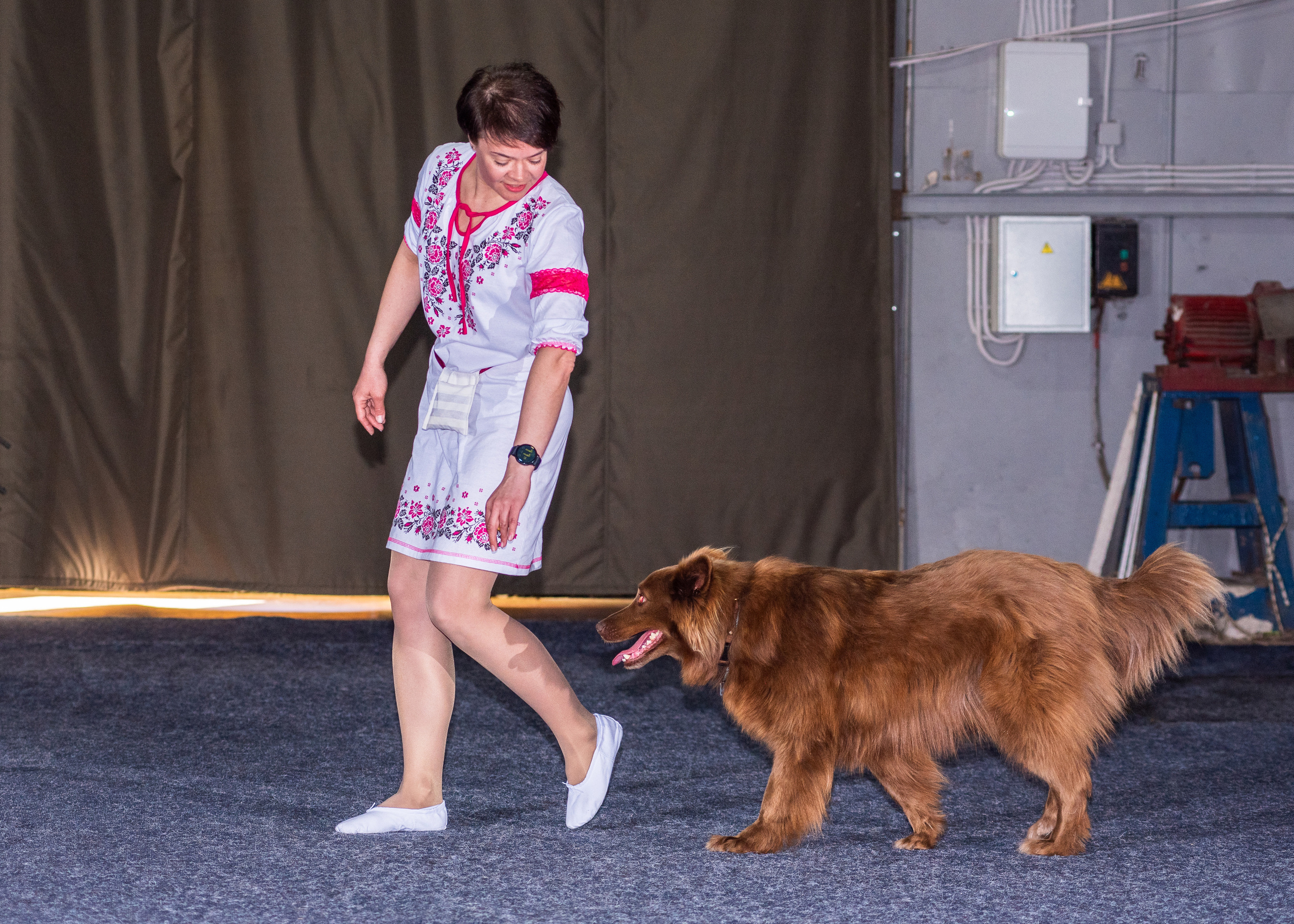 Танцы с собаками!. Дог-фотограф в Тюмени Александра Королева