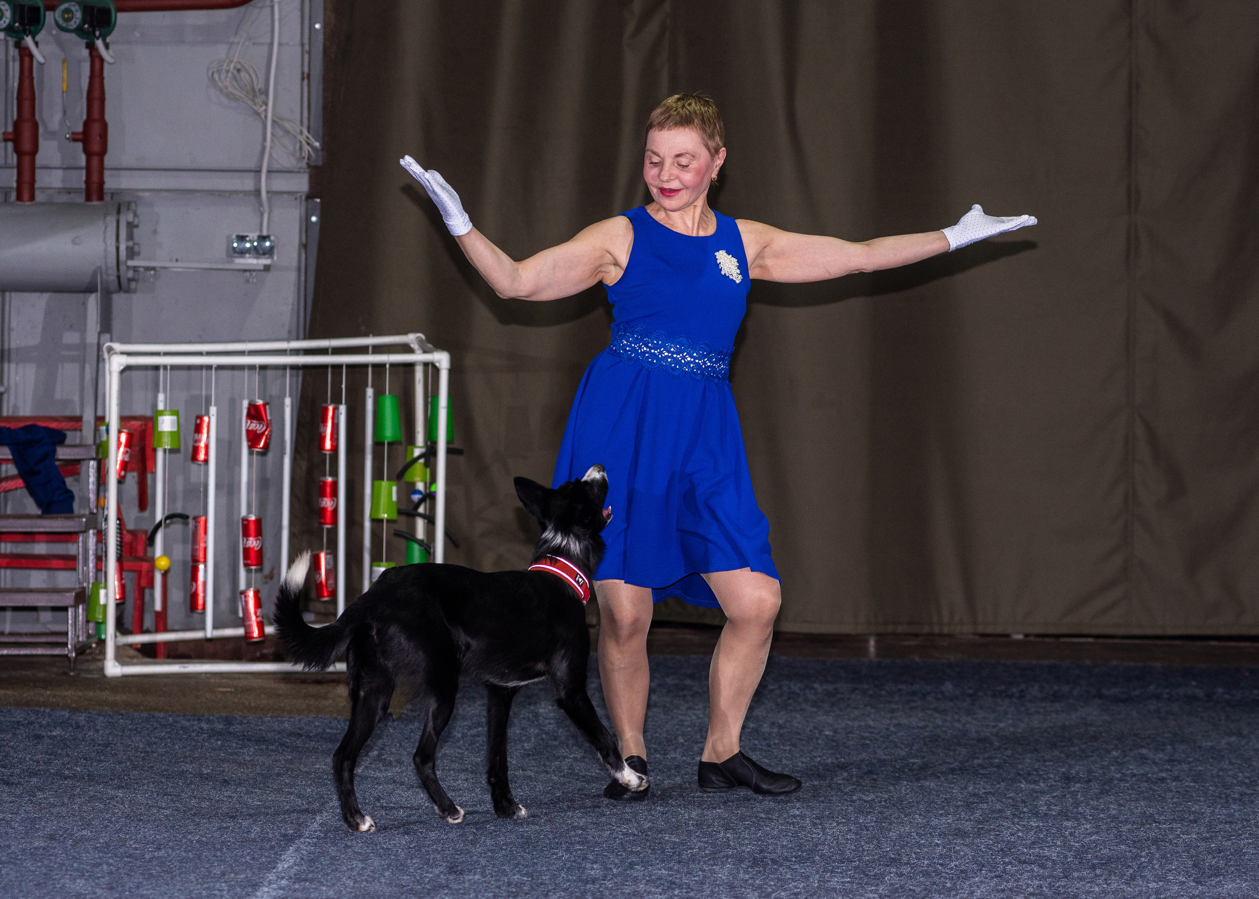 Танцы с собаками!. Дог-фотограф в Тюмени Александра Королева